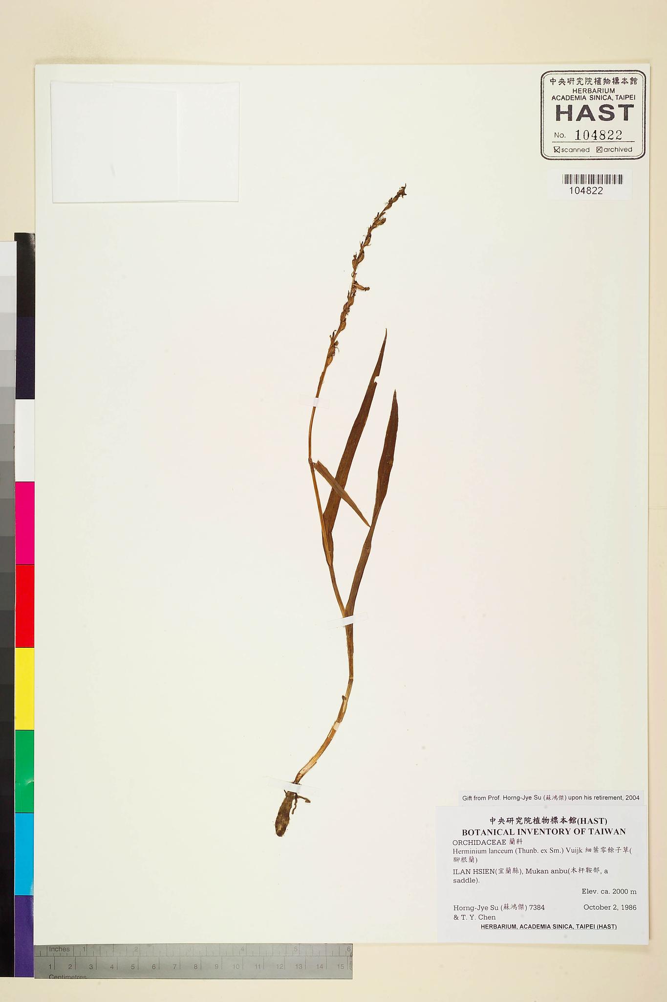 Sample image for viewer