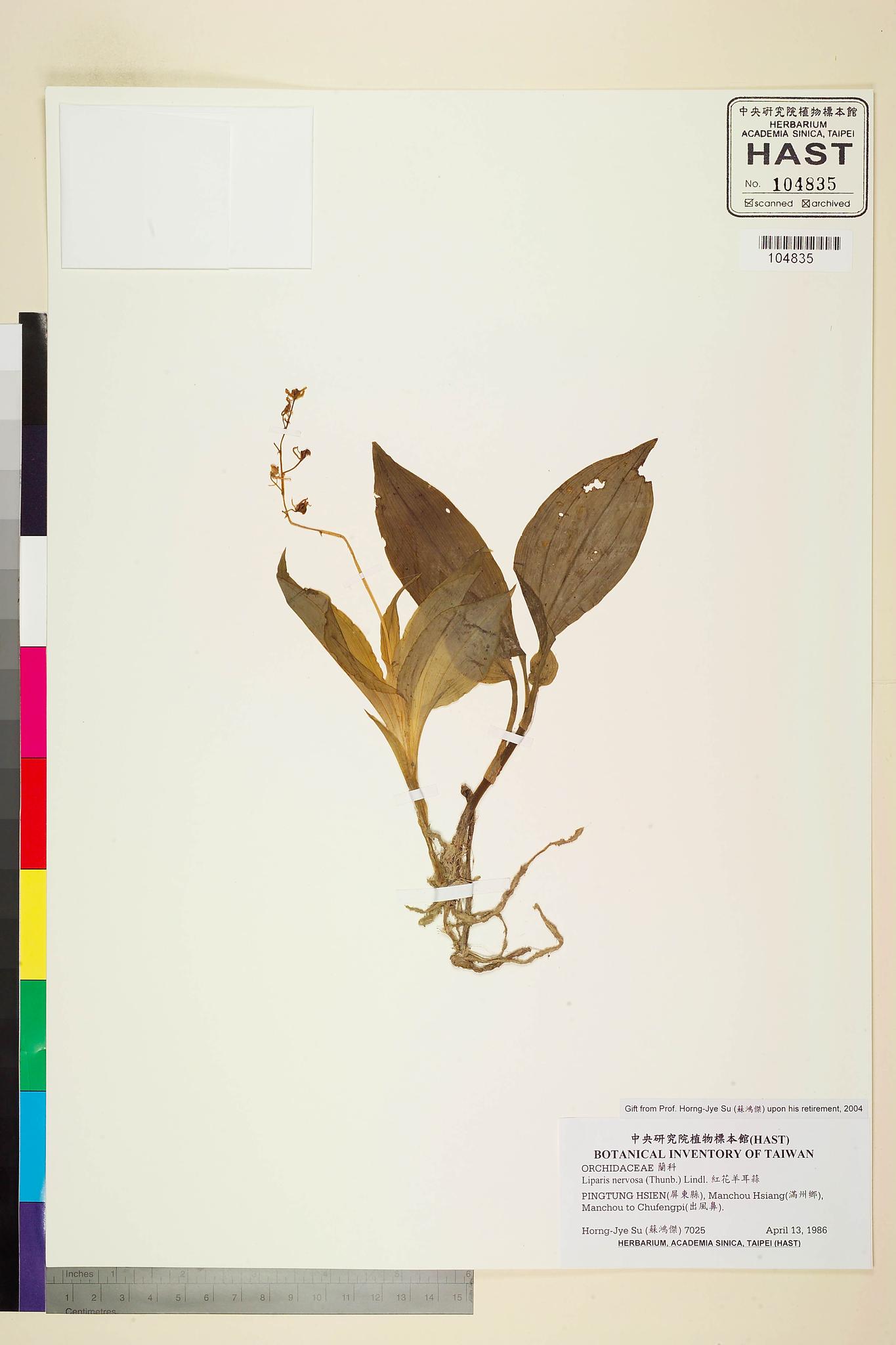 Sample image for viewer