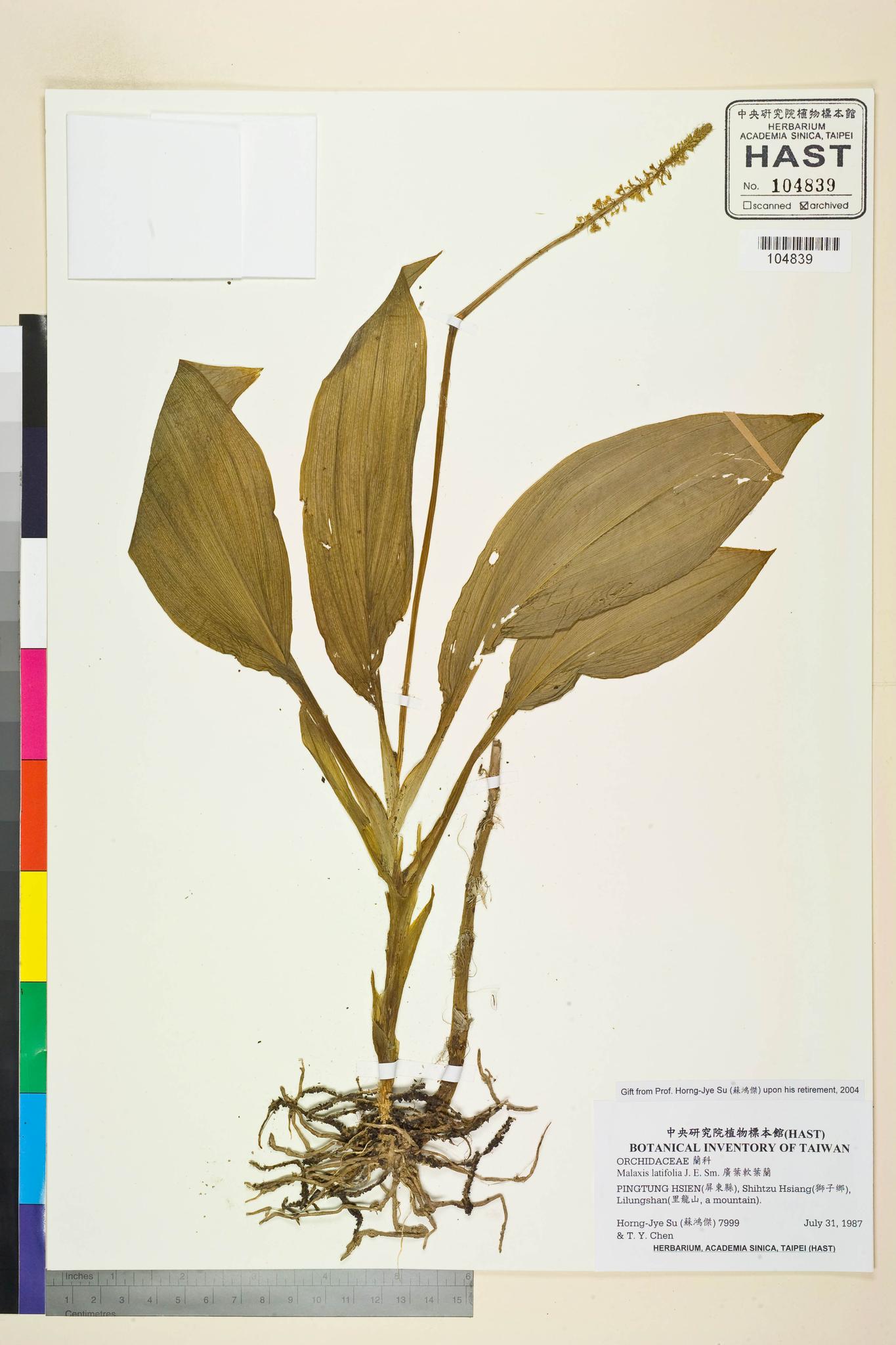 Sample image for viewer