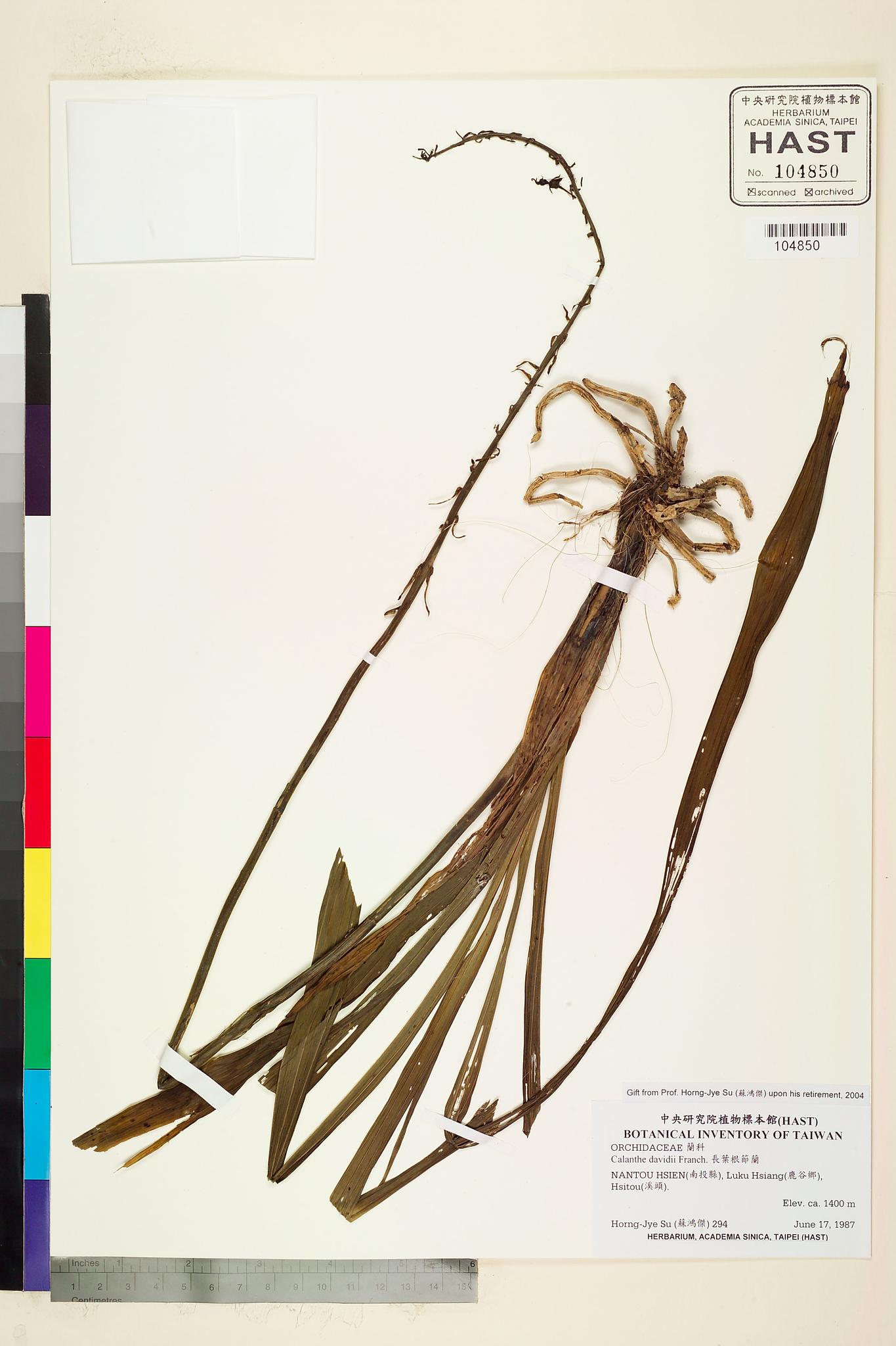 Sample image for viewer