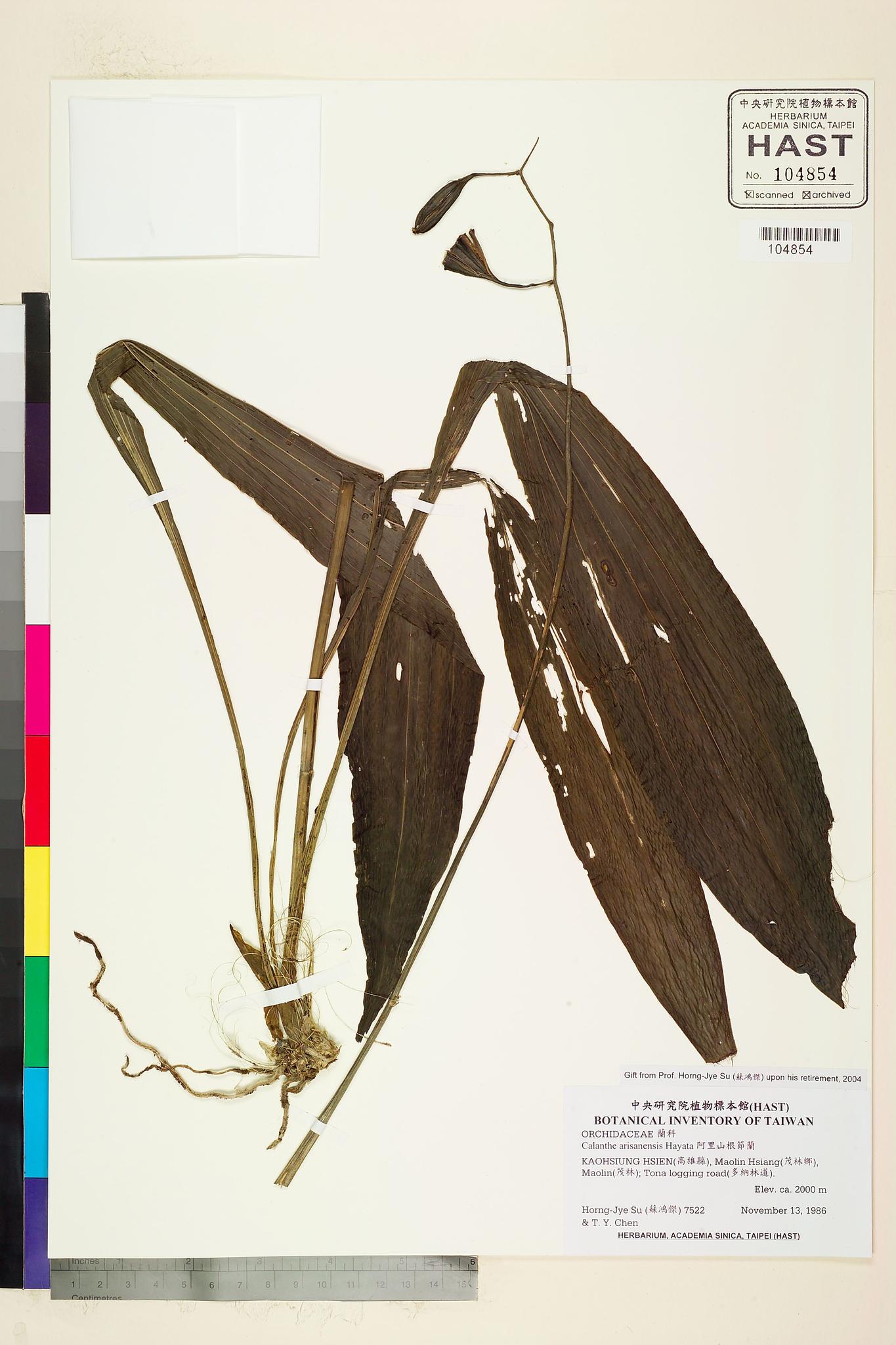 Sample image for viewer