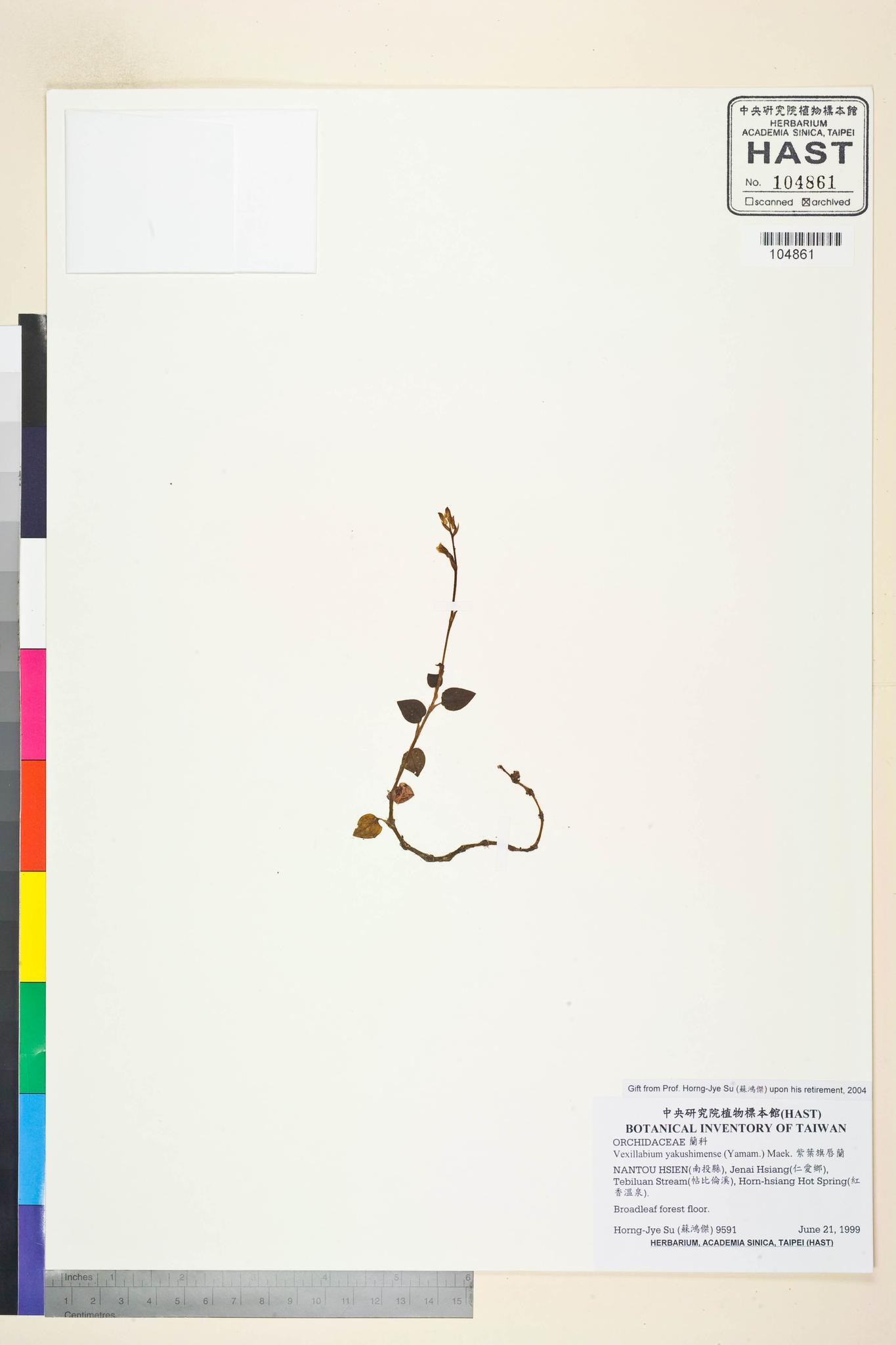 Sample image for viewer