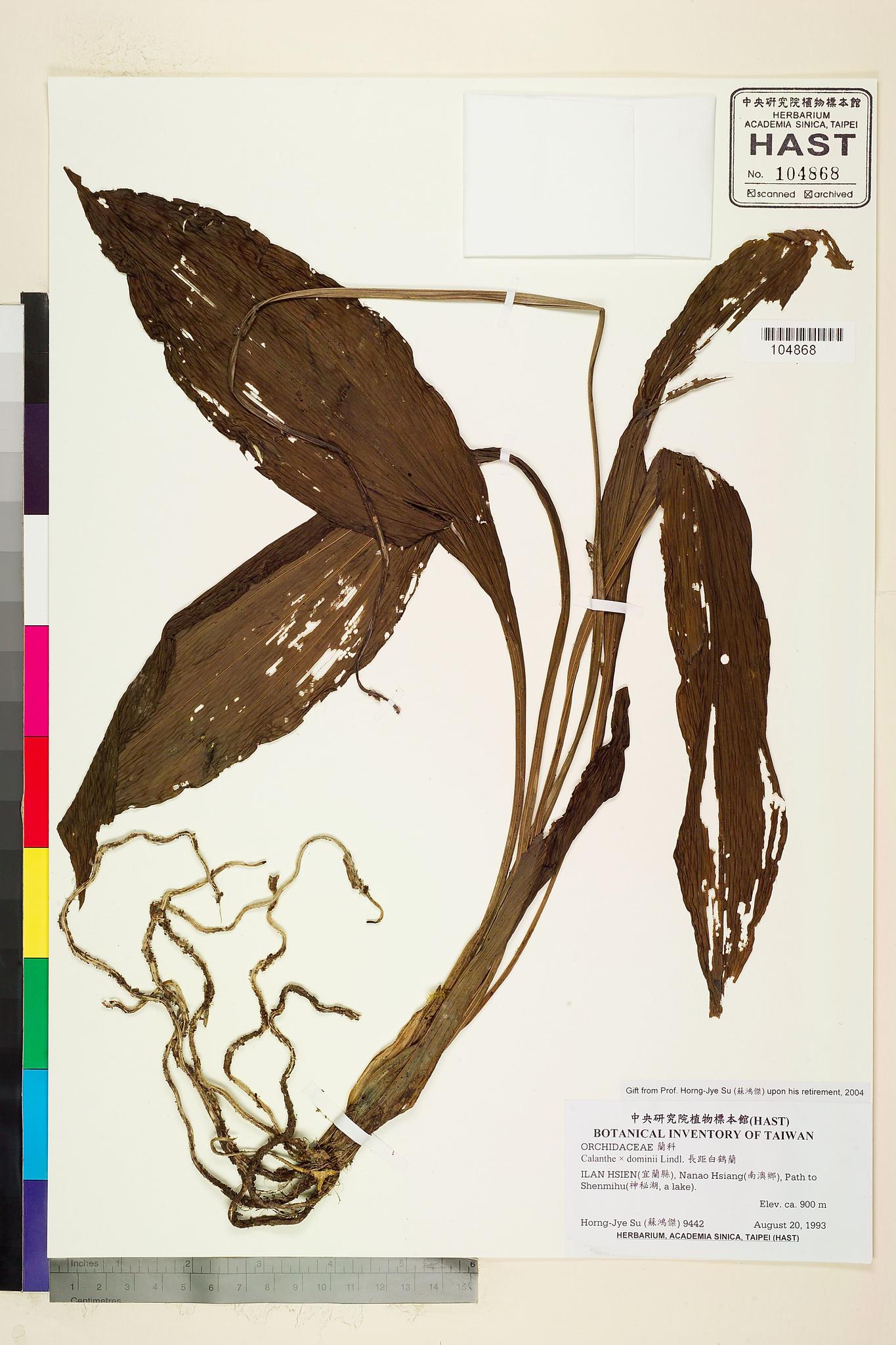 Sample image for viewer