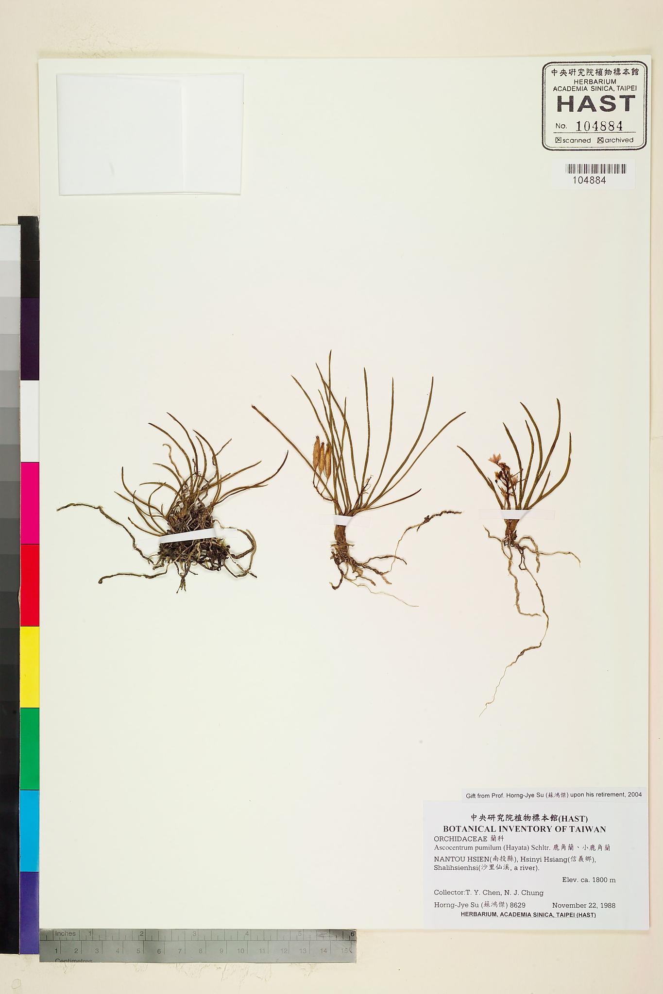 Sample image for viewer