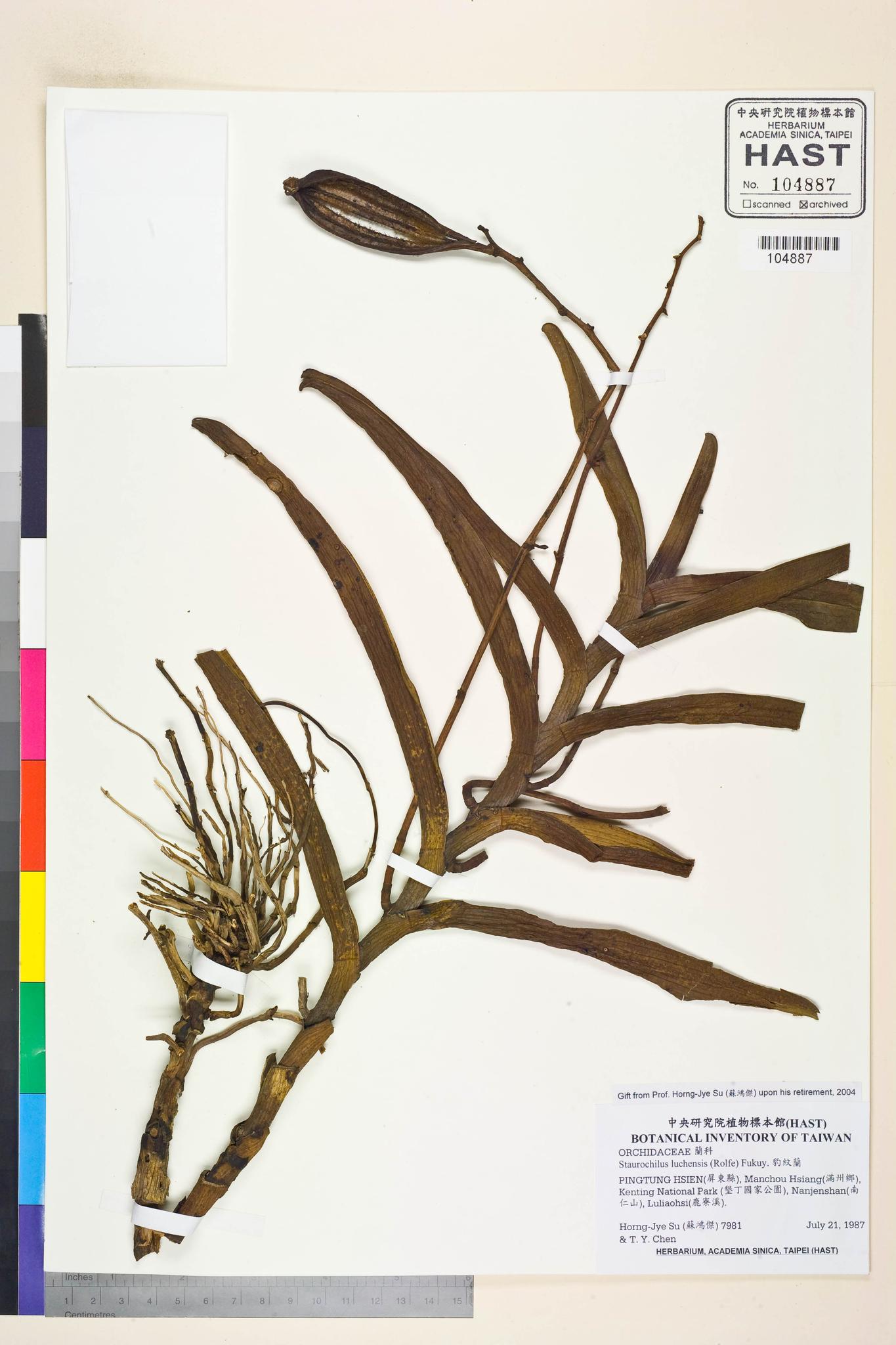 Sample image for viewer