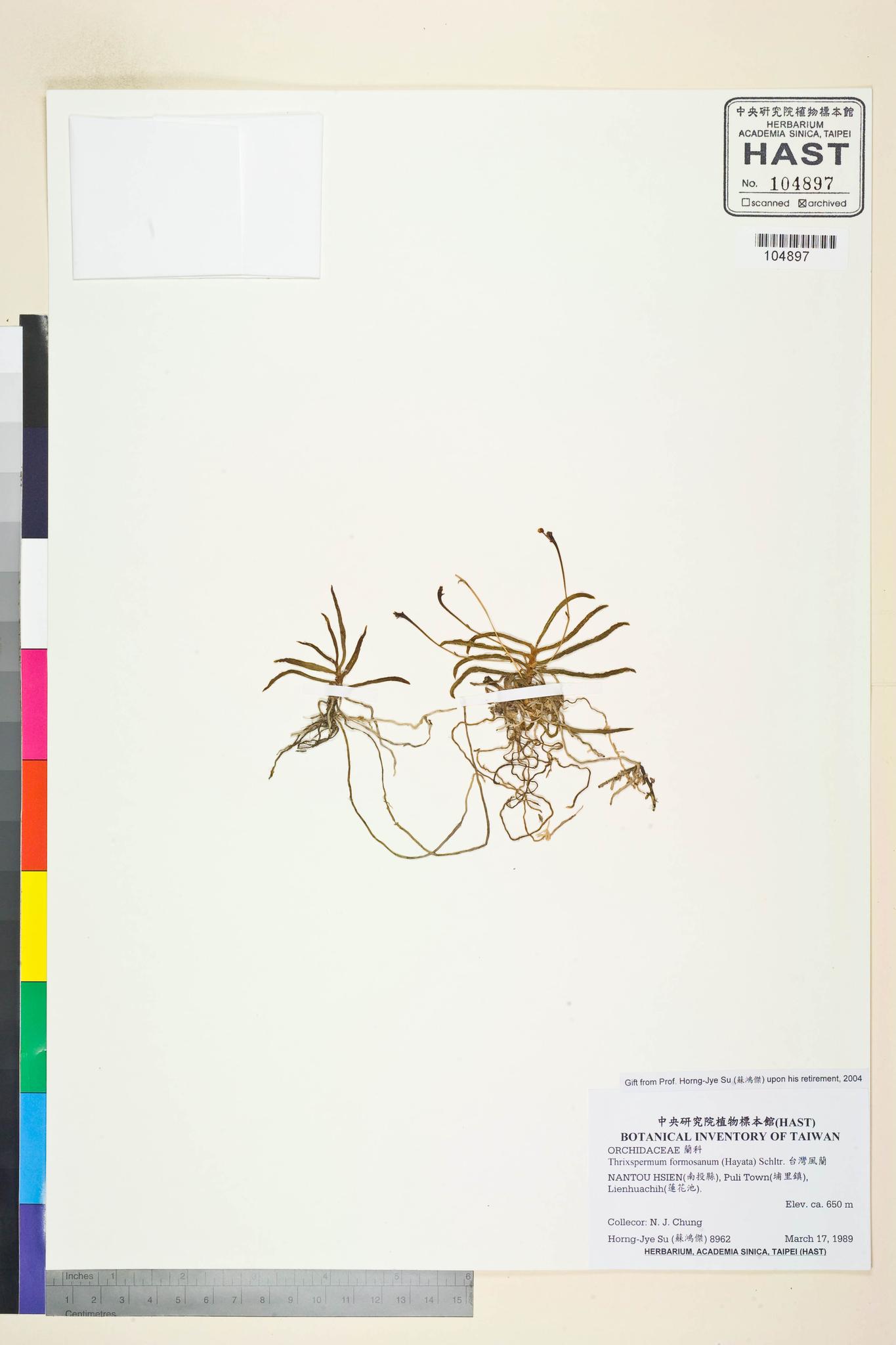 Sample image for viewer