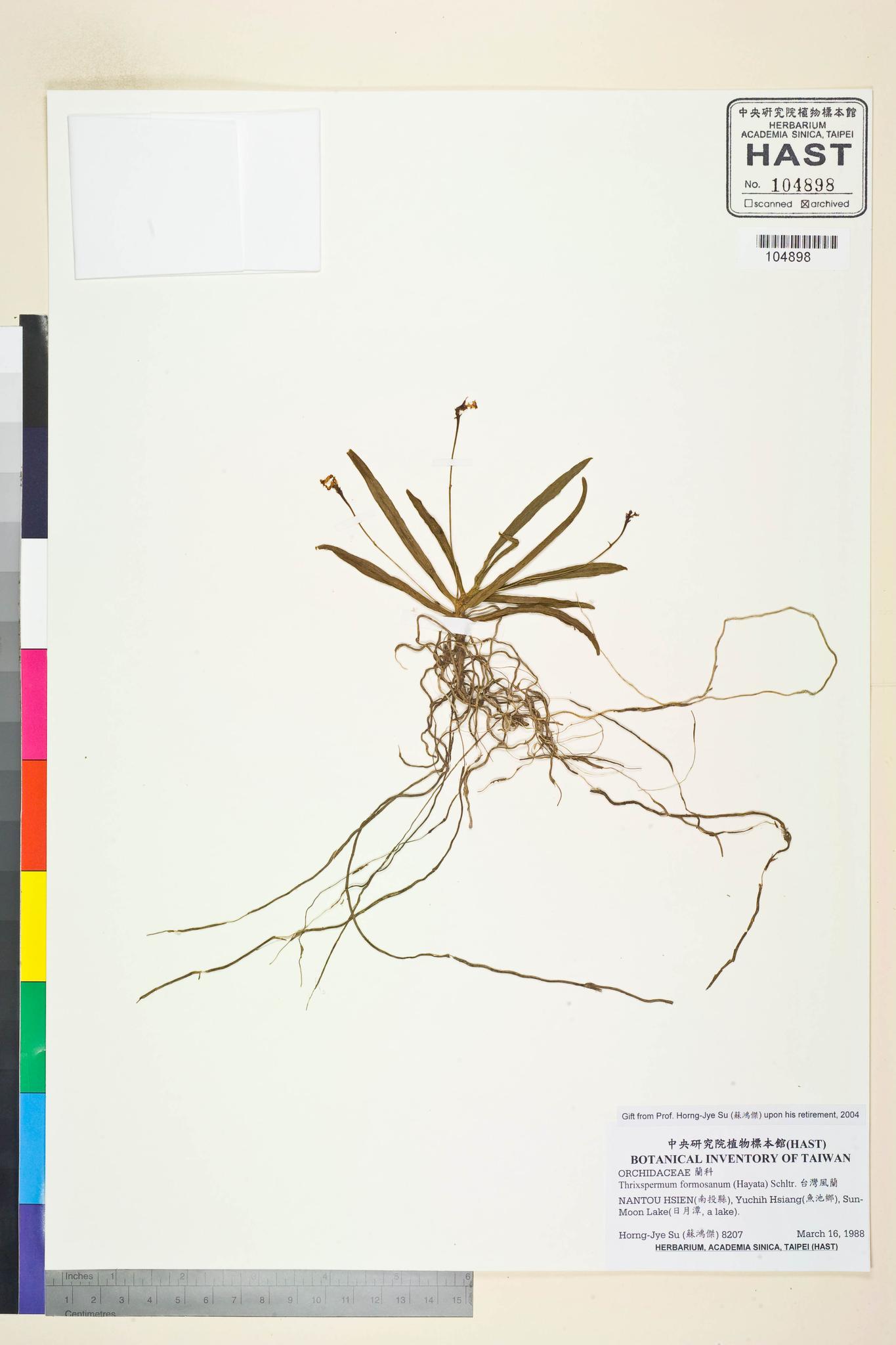 Sample image for viewer