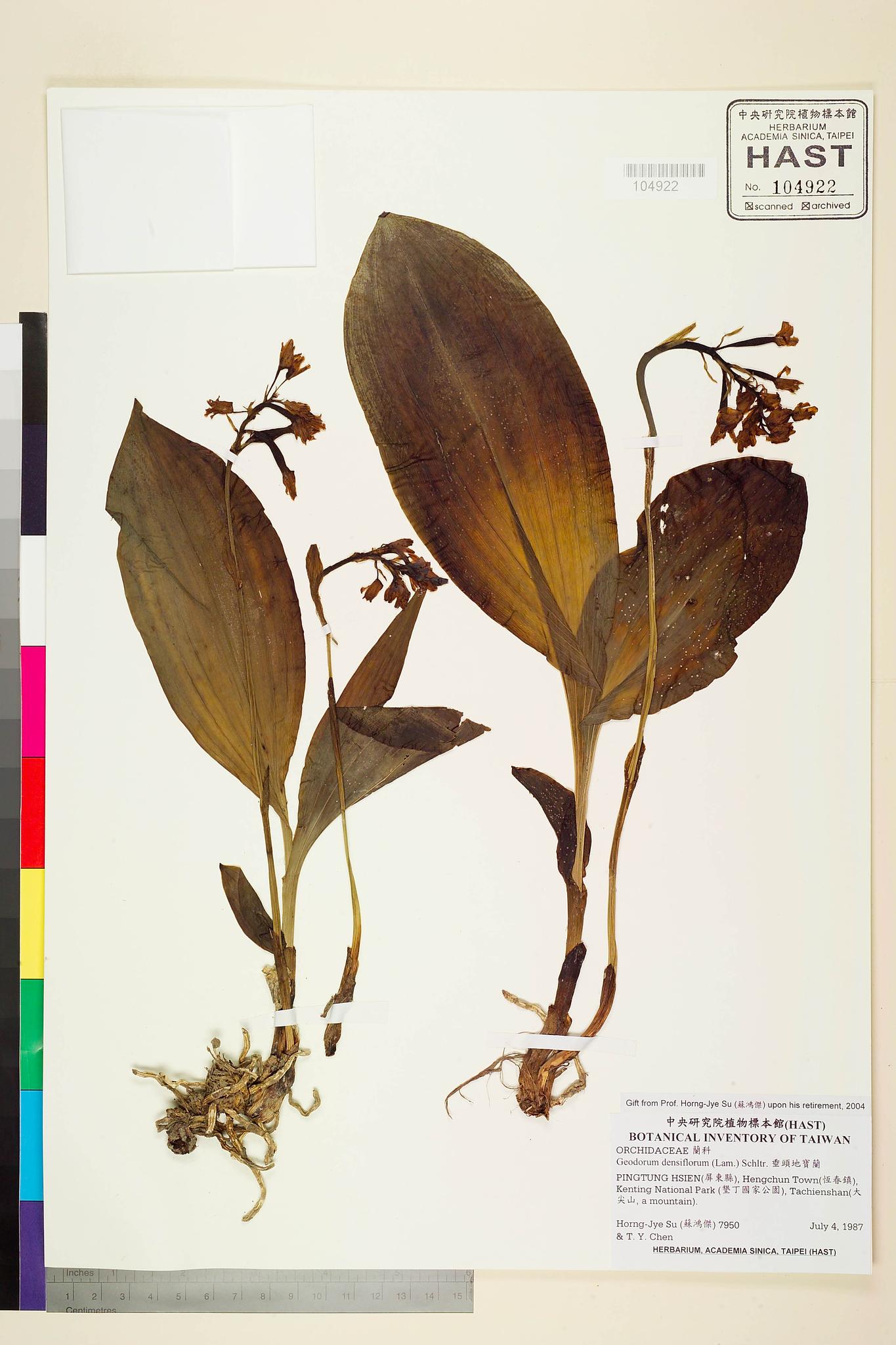 Sample image for viewer