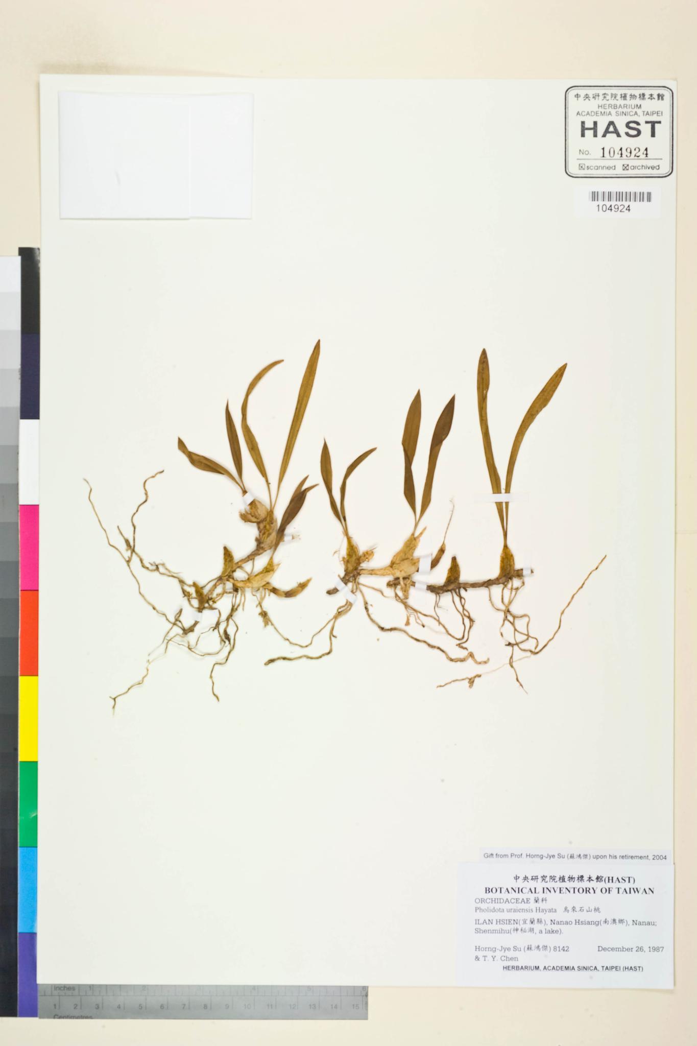 Sample image for viewer