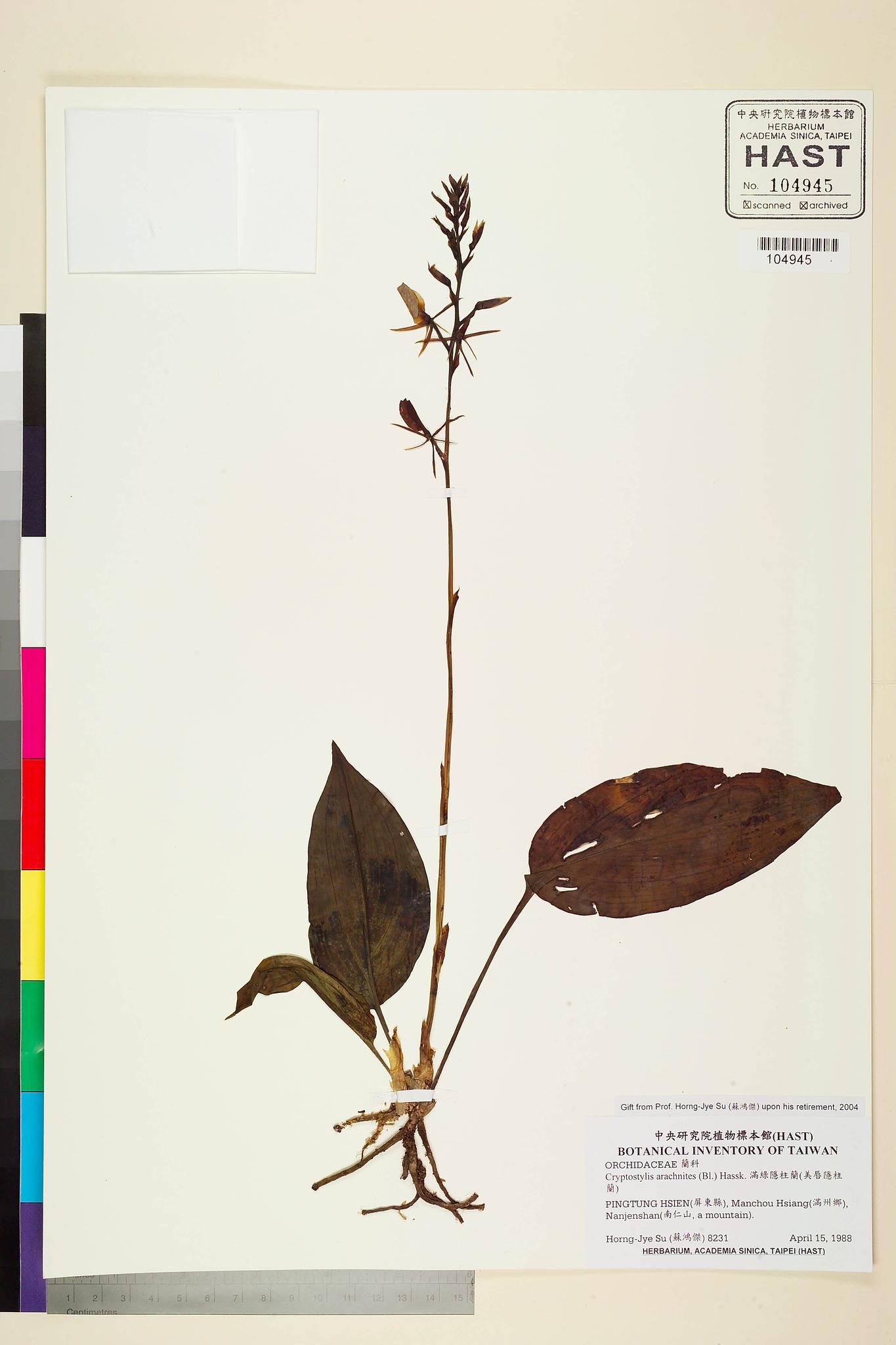 Sample image for viewer