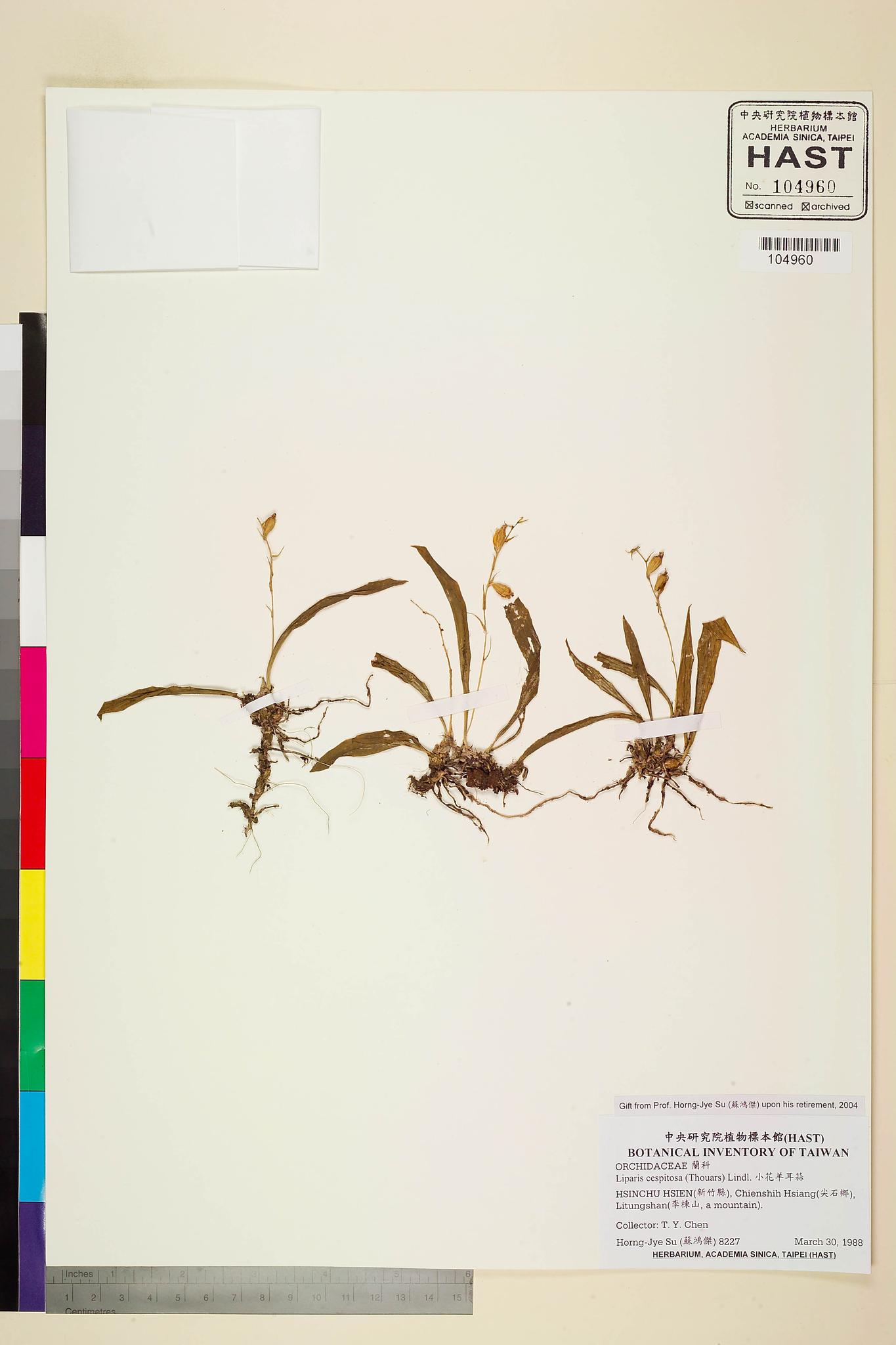 Sample image for viewer