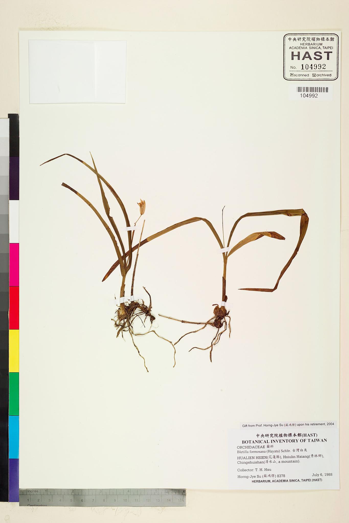 Sample image for viewer