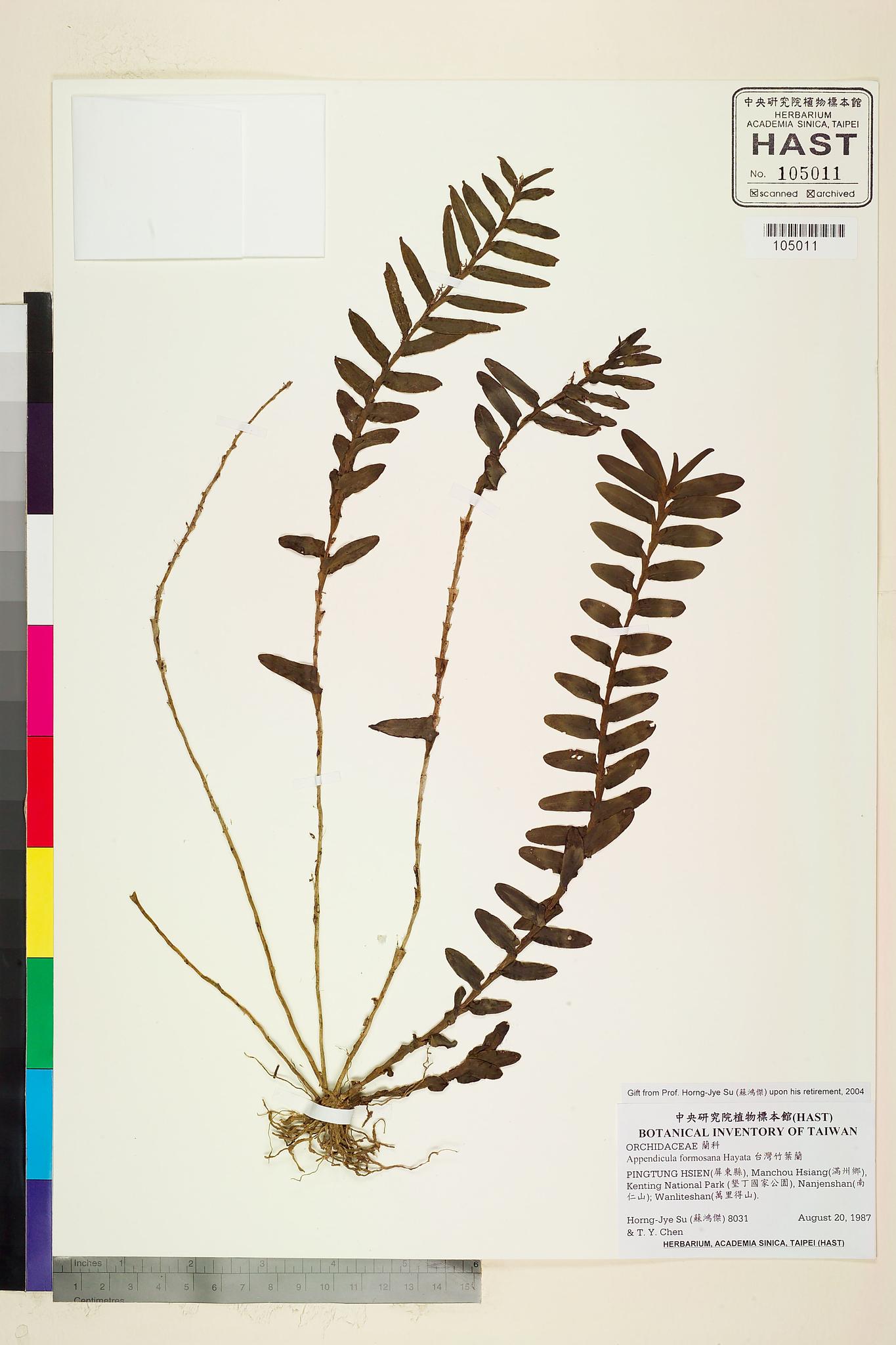 Sample image for viewer