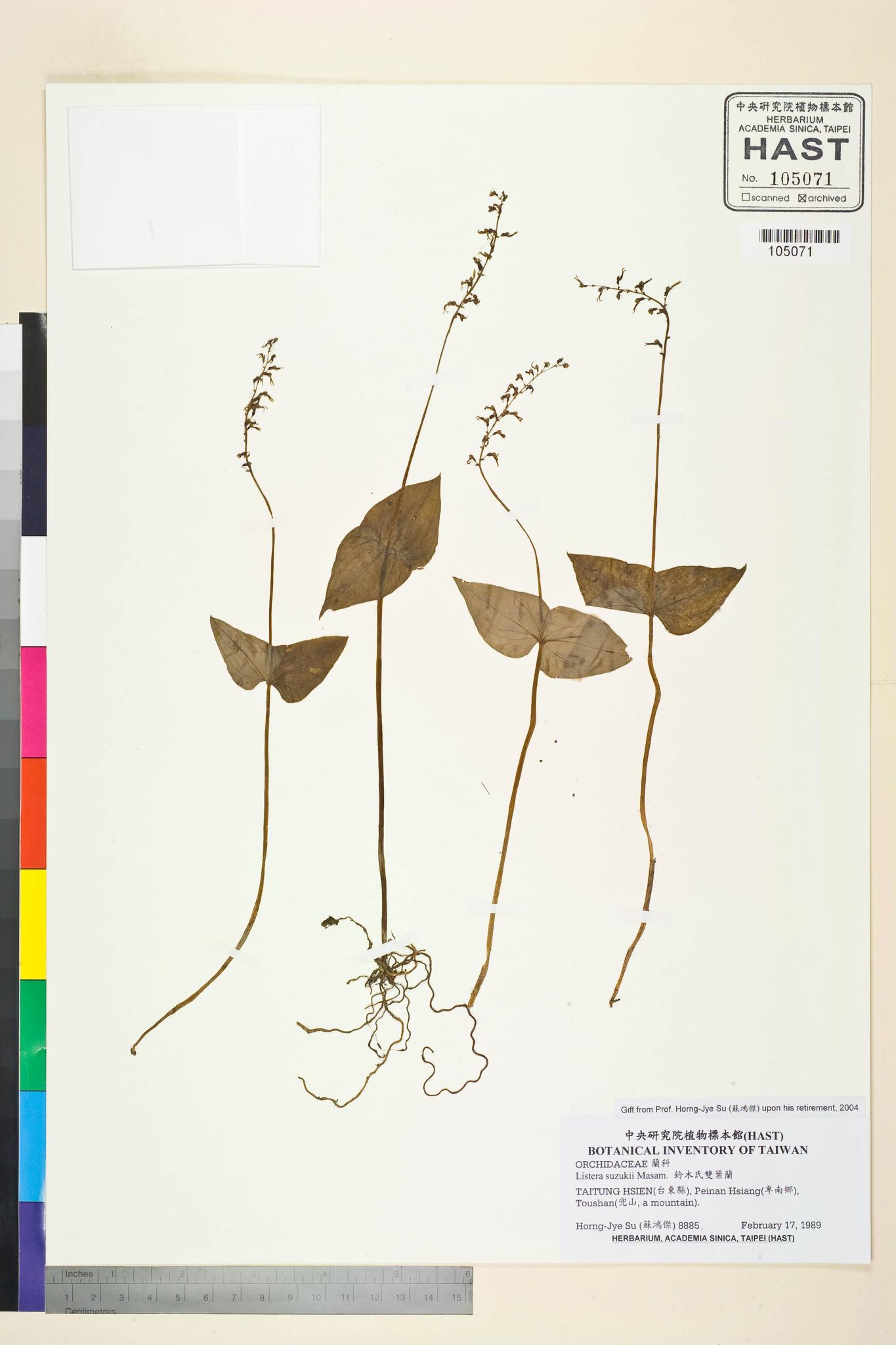 Sample image for viewer