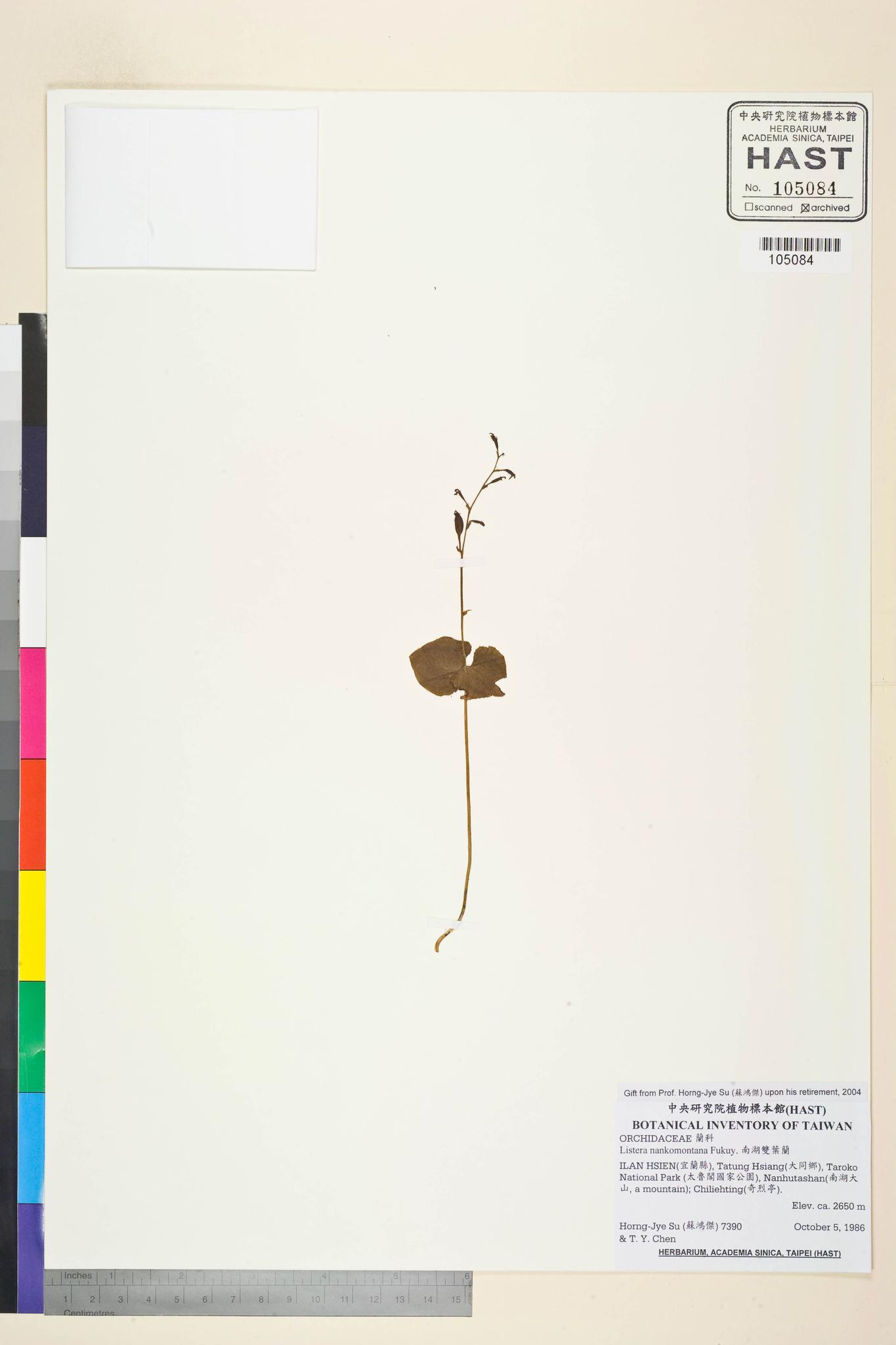 Sample image for viewer