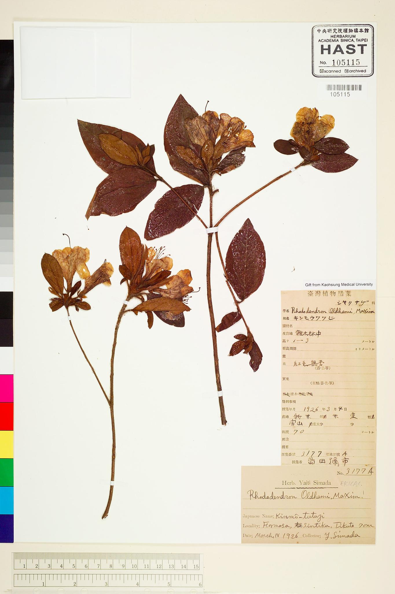 Sample image for viewer