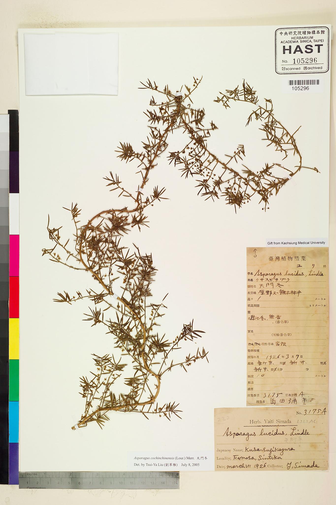 Sample image for viewer