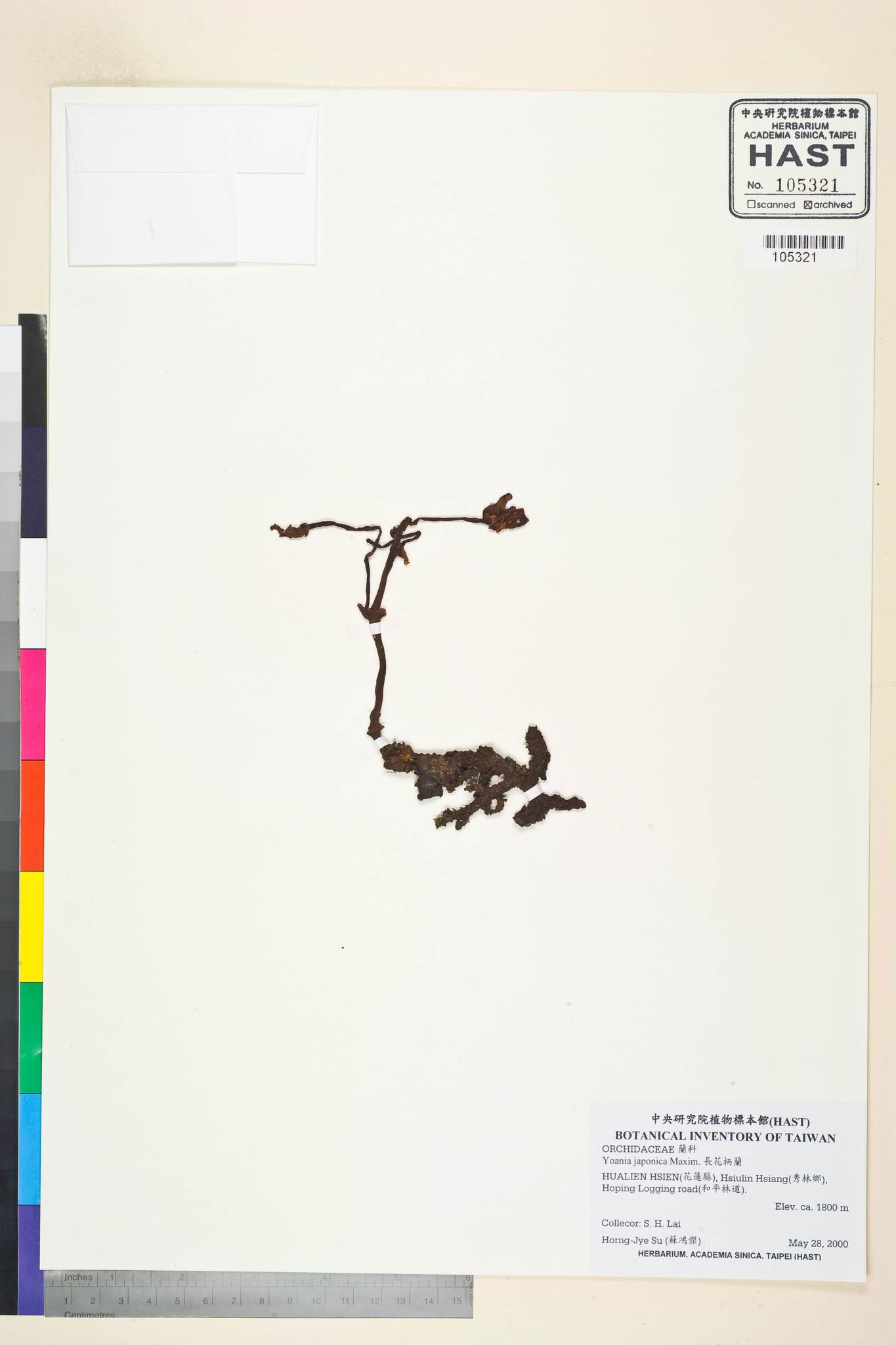 Sample image for viewer