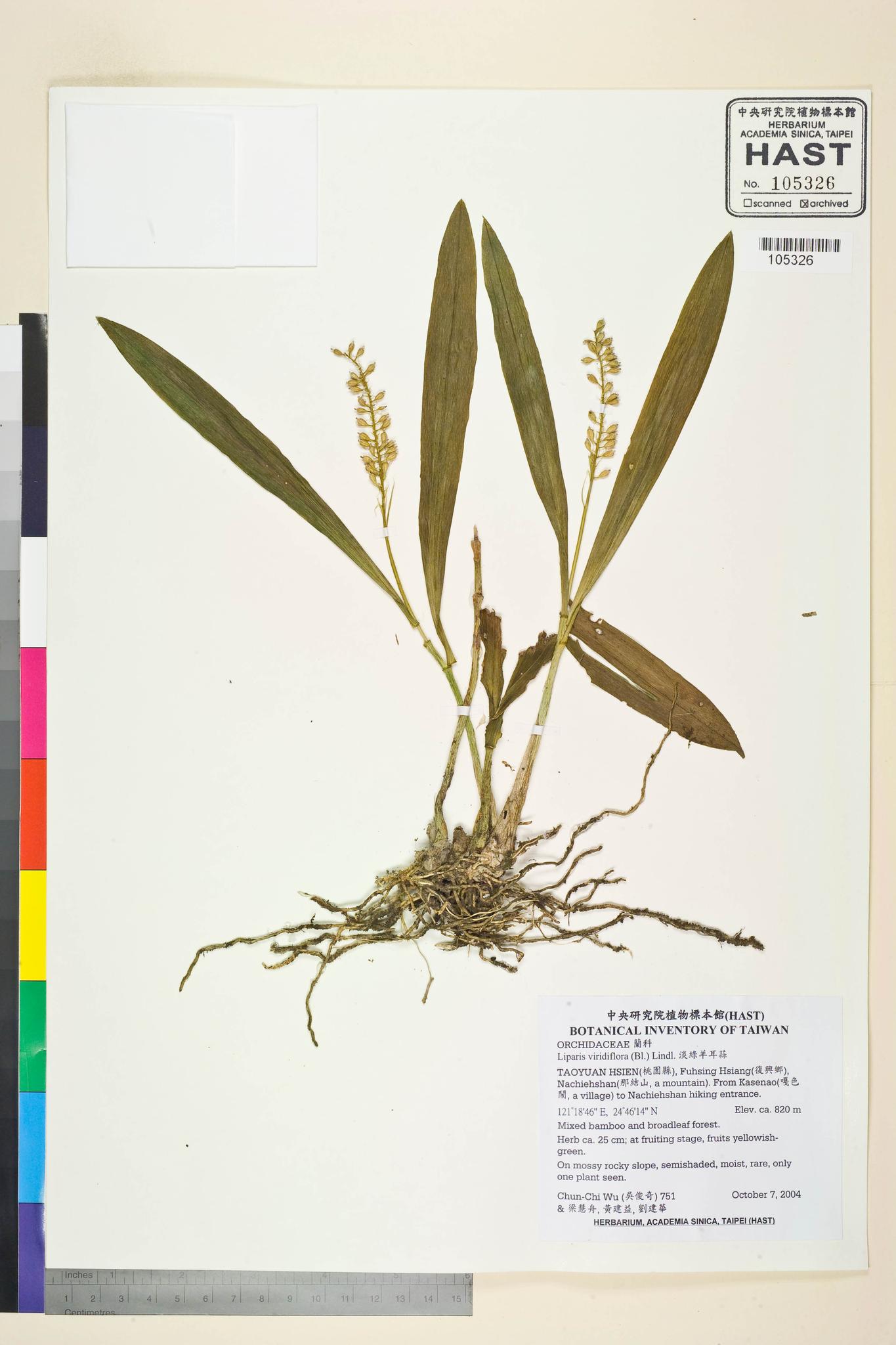 Sample image for viewer