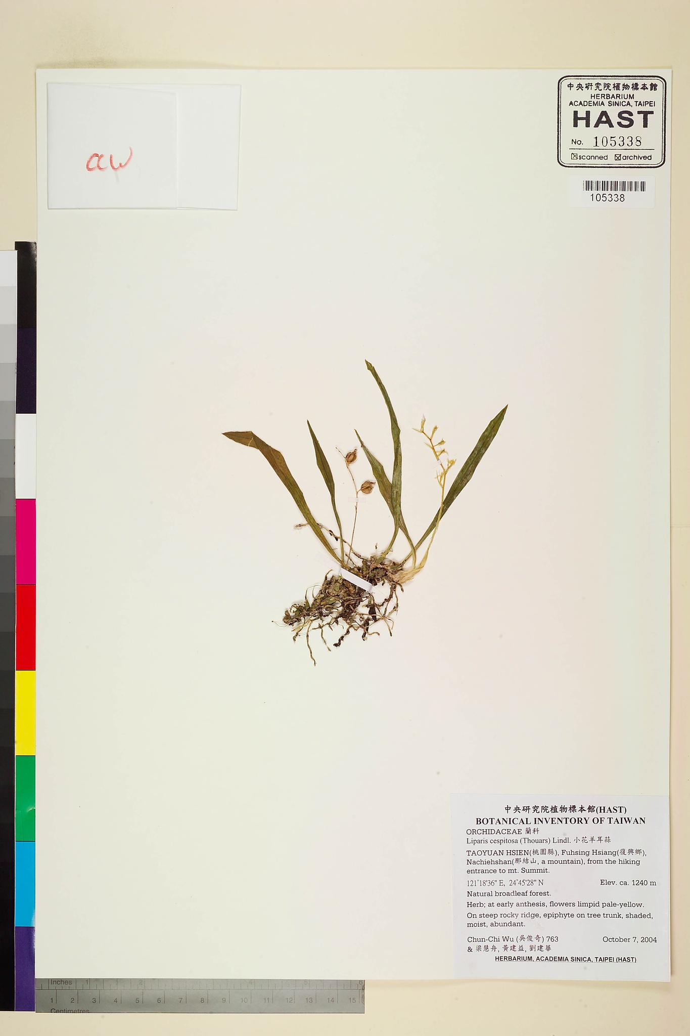 Sample image for viewer