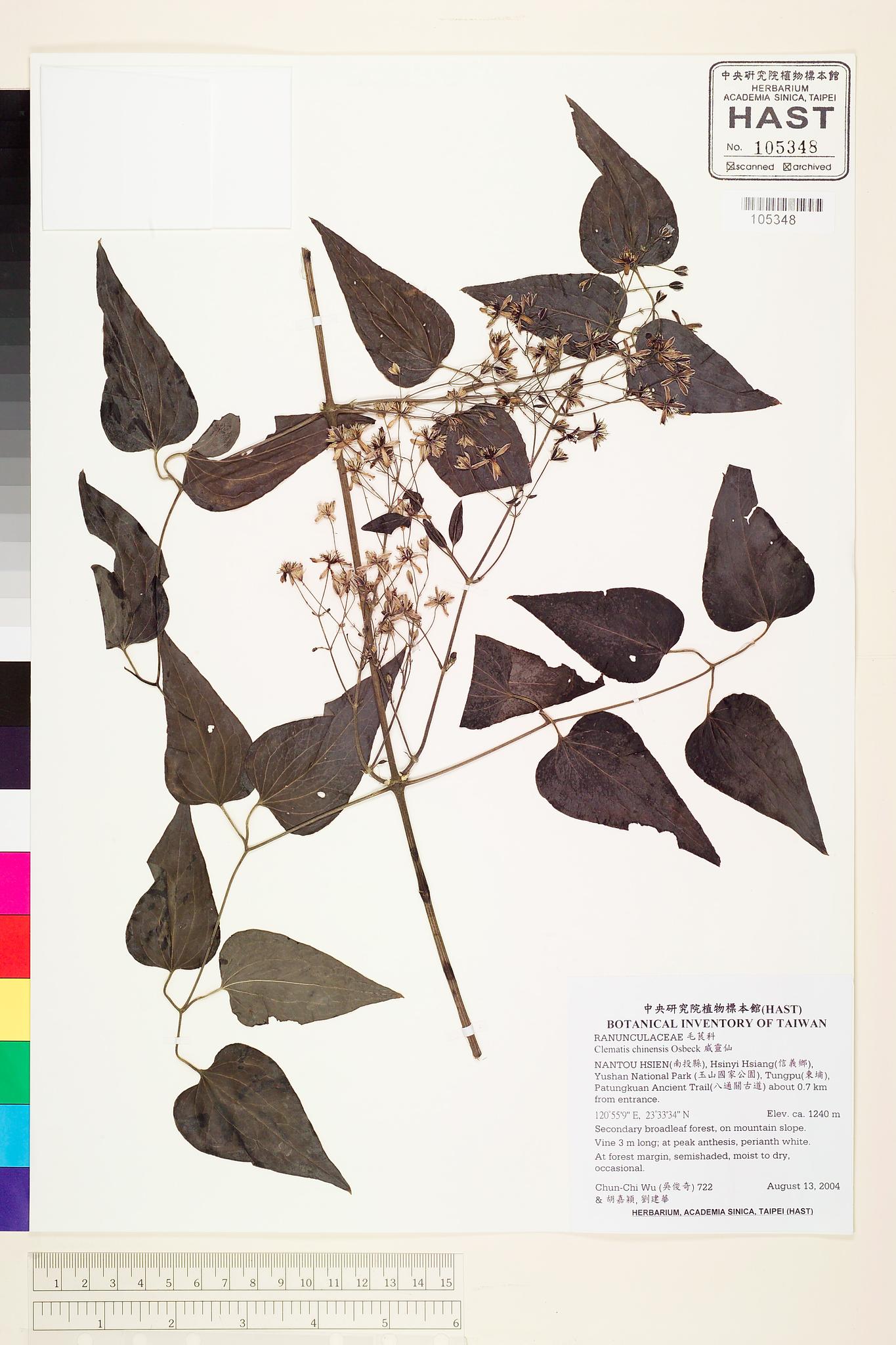 Sample image for viewer