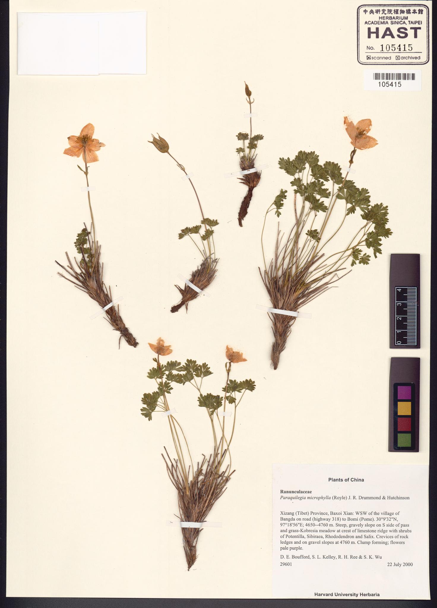 Sample image for viewer