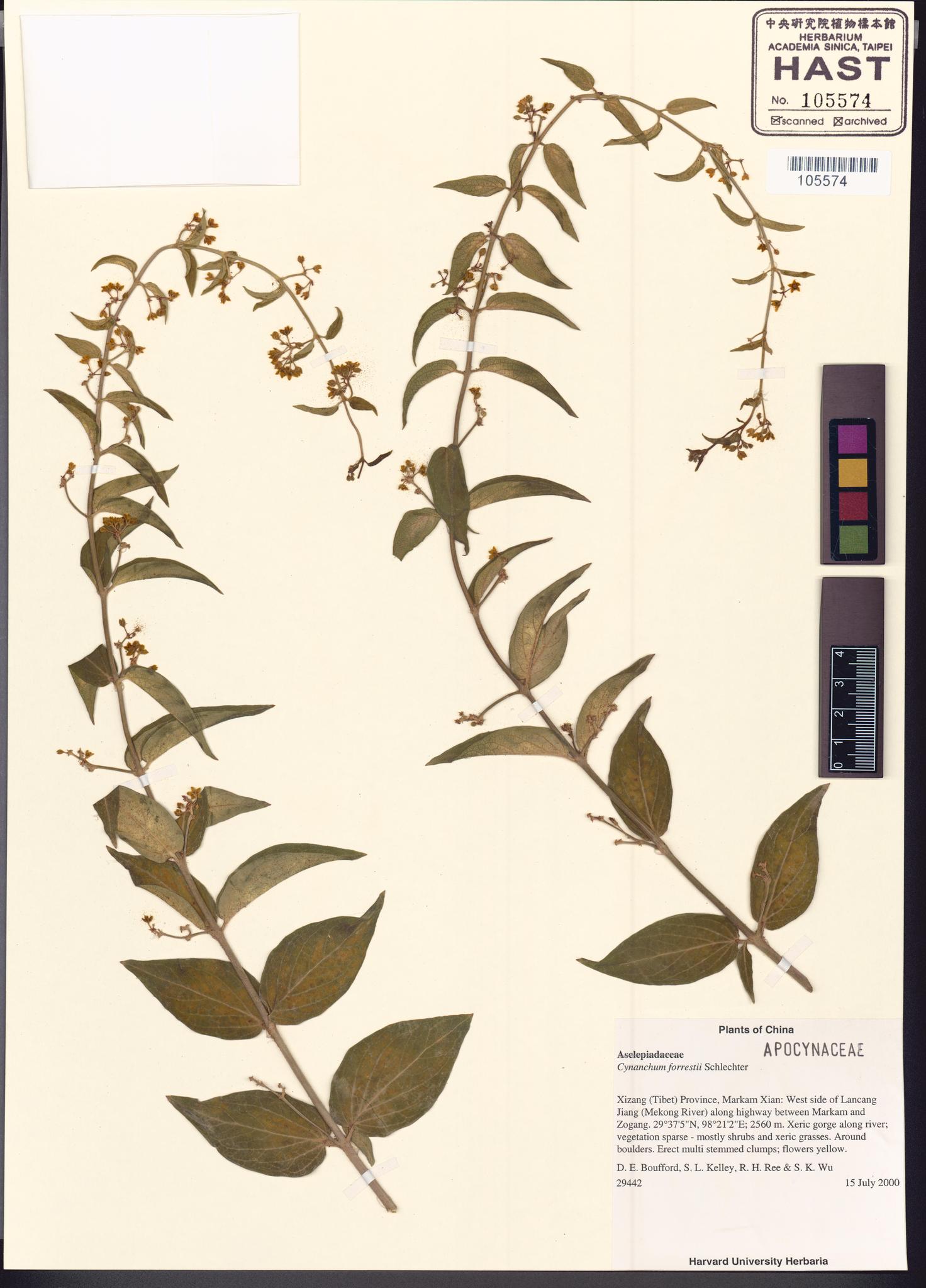 Sample image for viewer