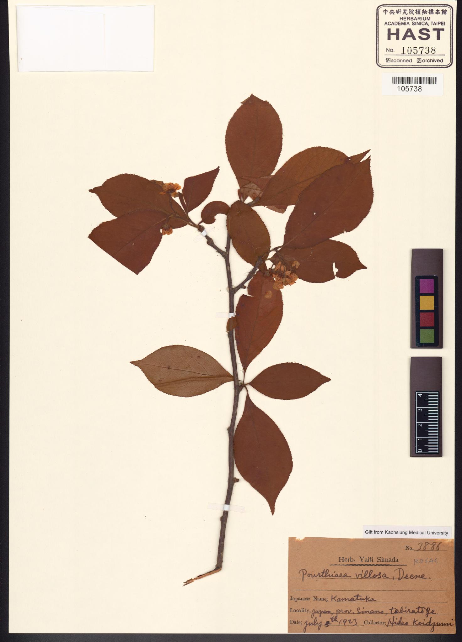 Sample image for viewer