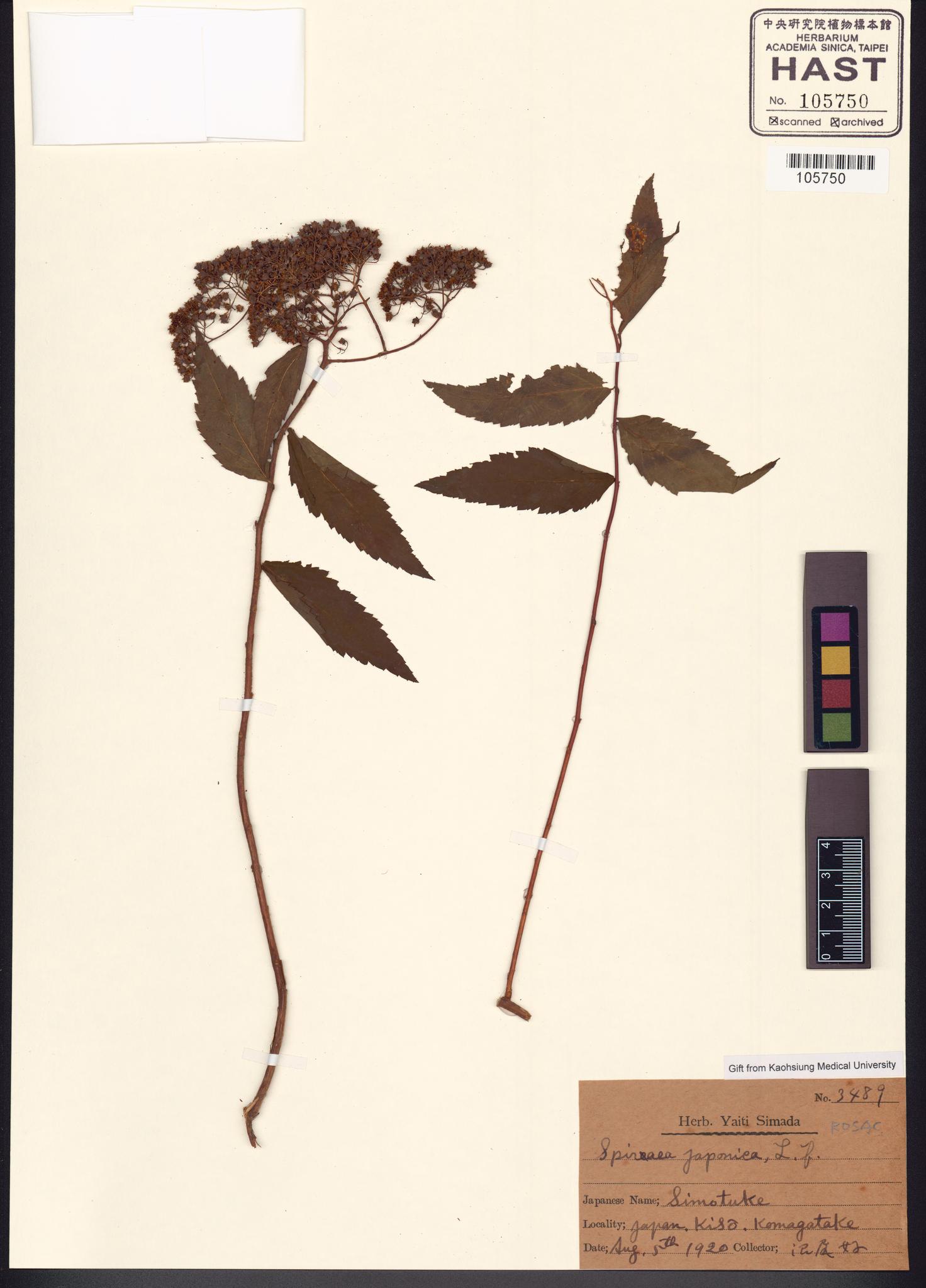 Sample image for viewer