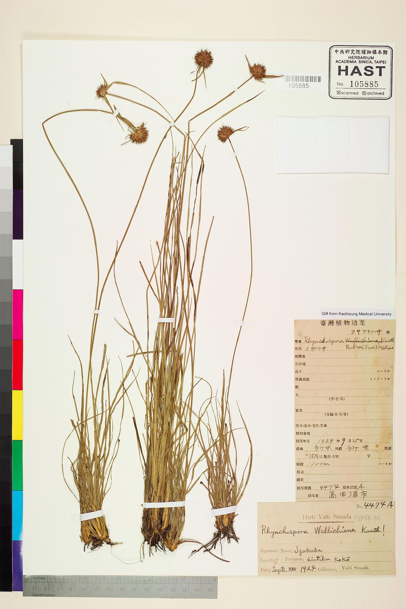 Sample image for viewer