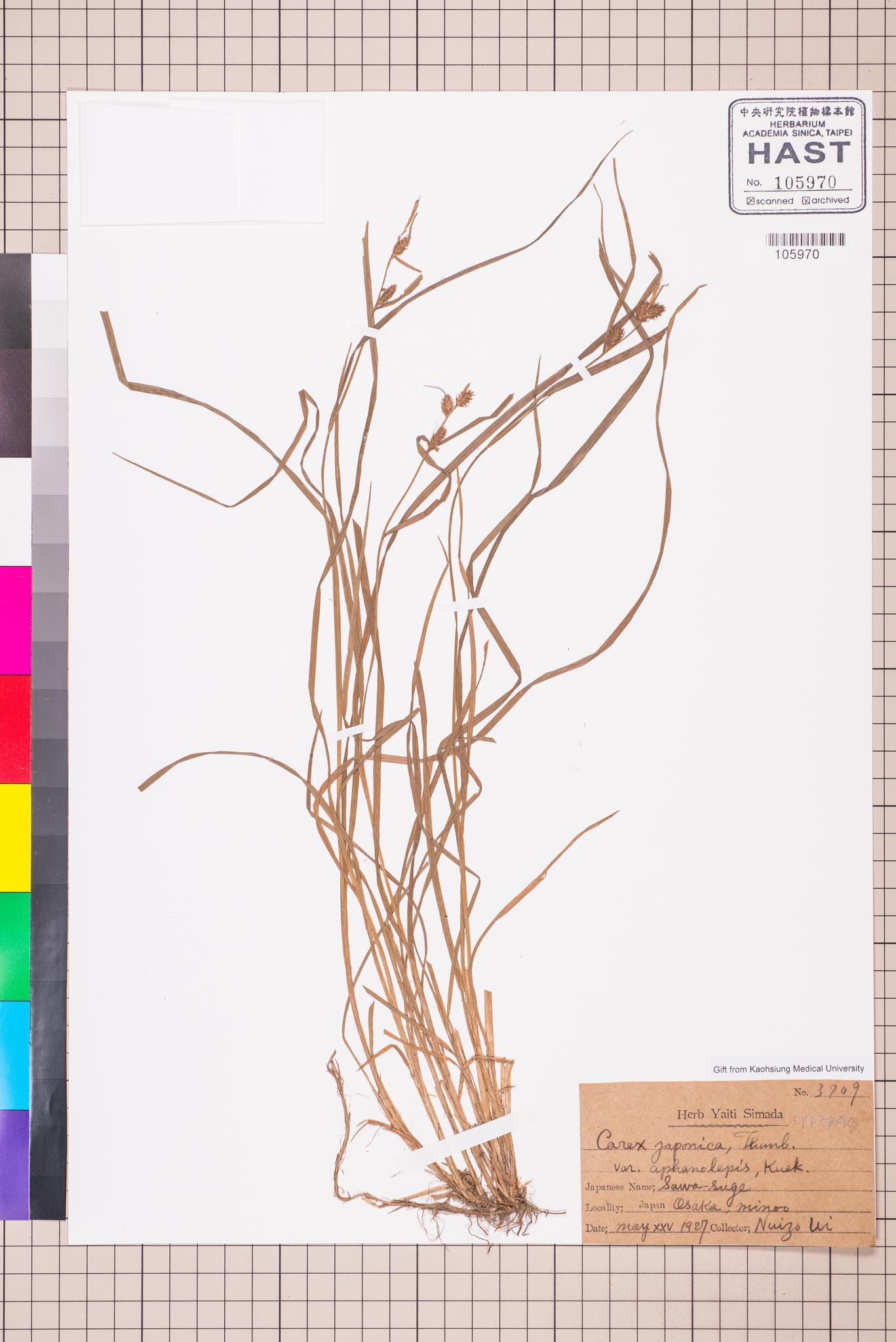 Sample image for viewer