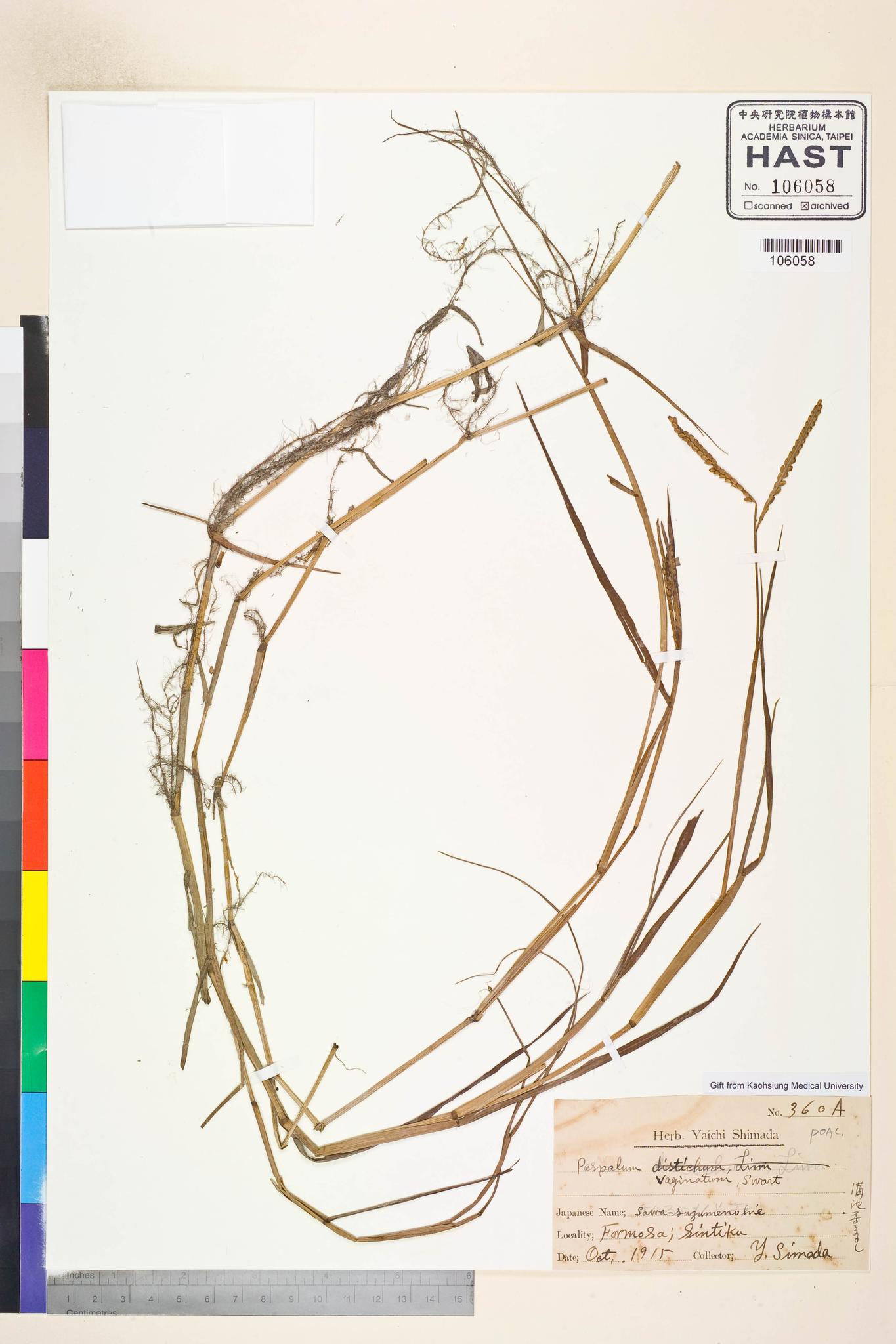 Sample image for viewer