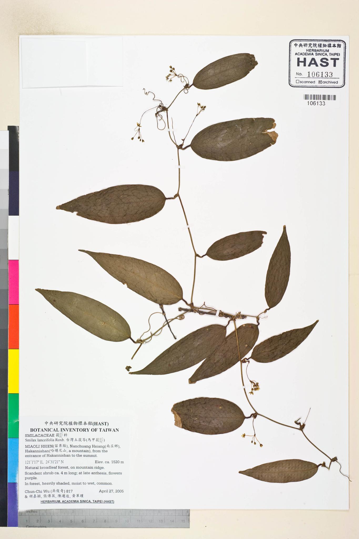 Sample image for viewer