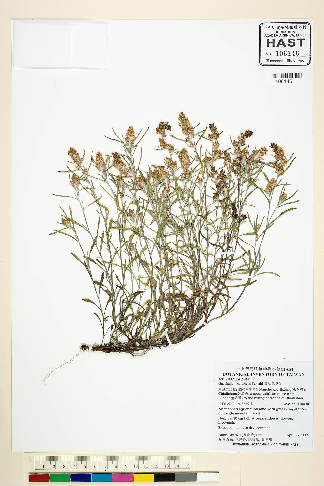 Sample image for viewer