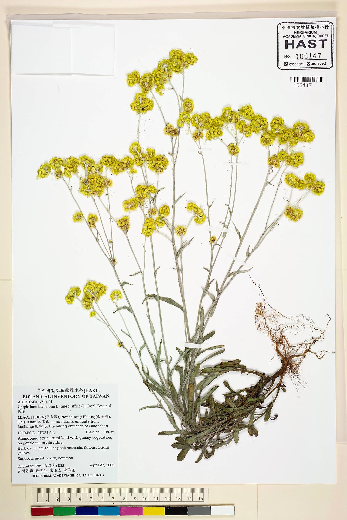 Sample image for viewer