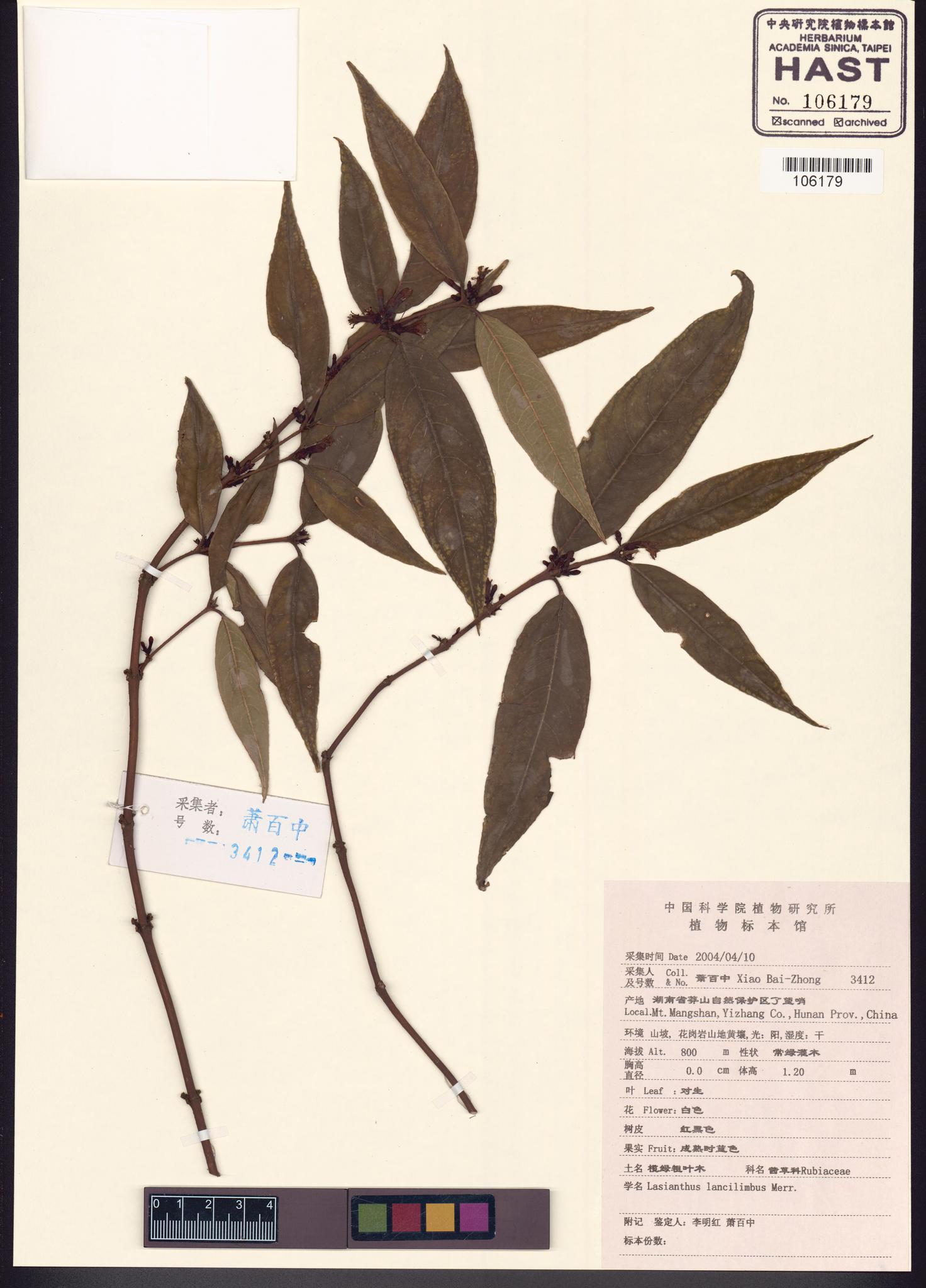 Sample image for viewer