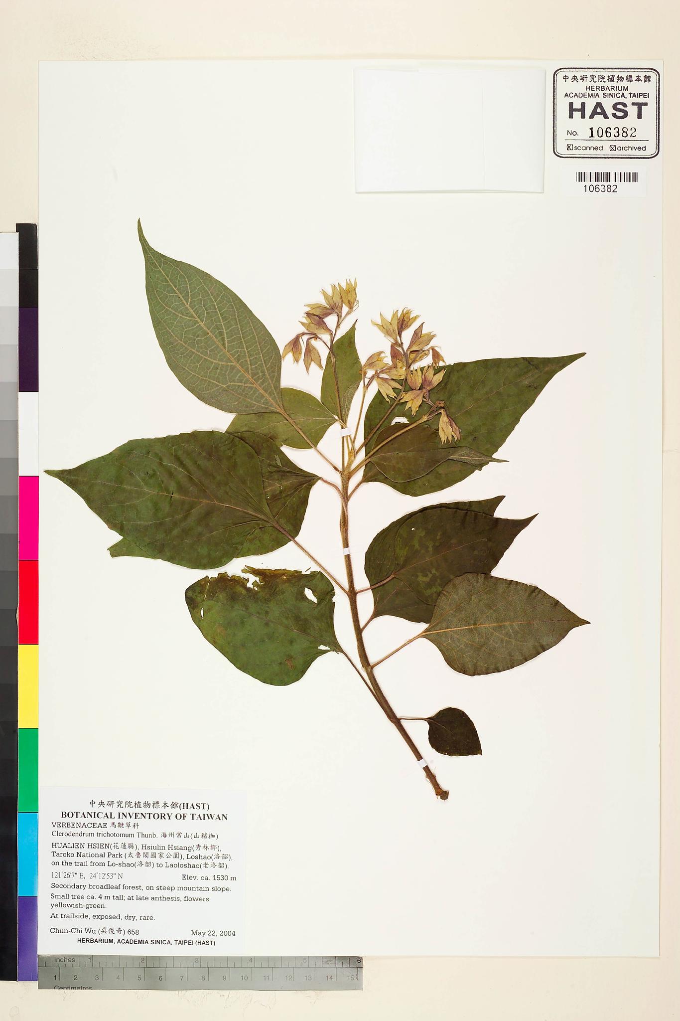 Sample image for viewer