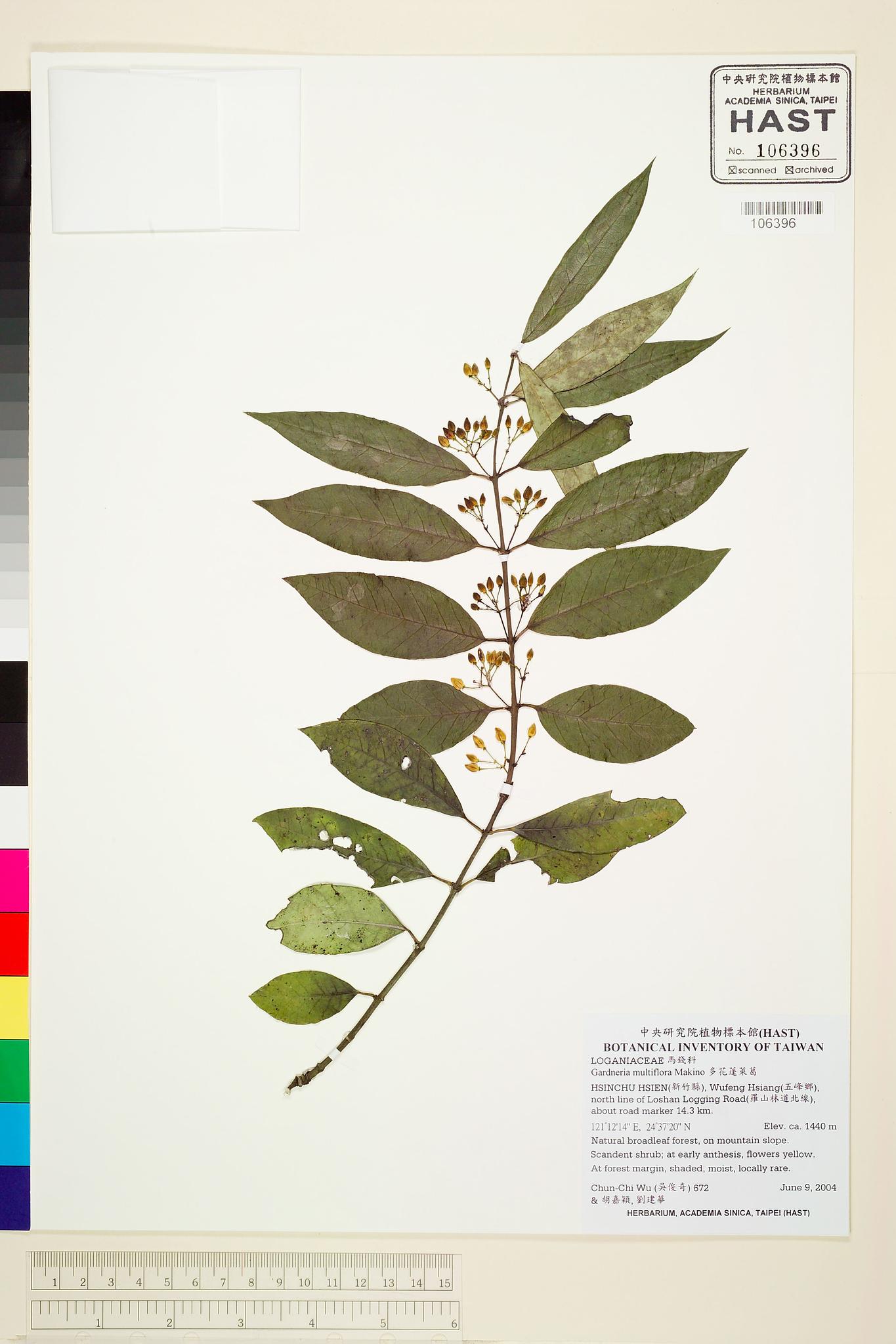 Sample image for viewer