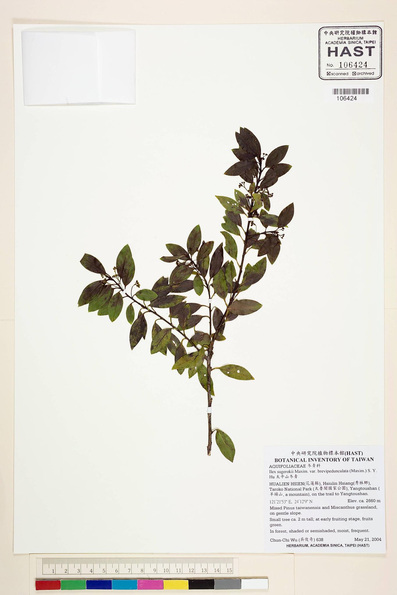 Sample image for viewer