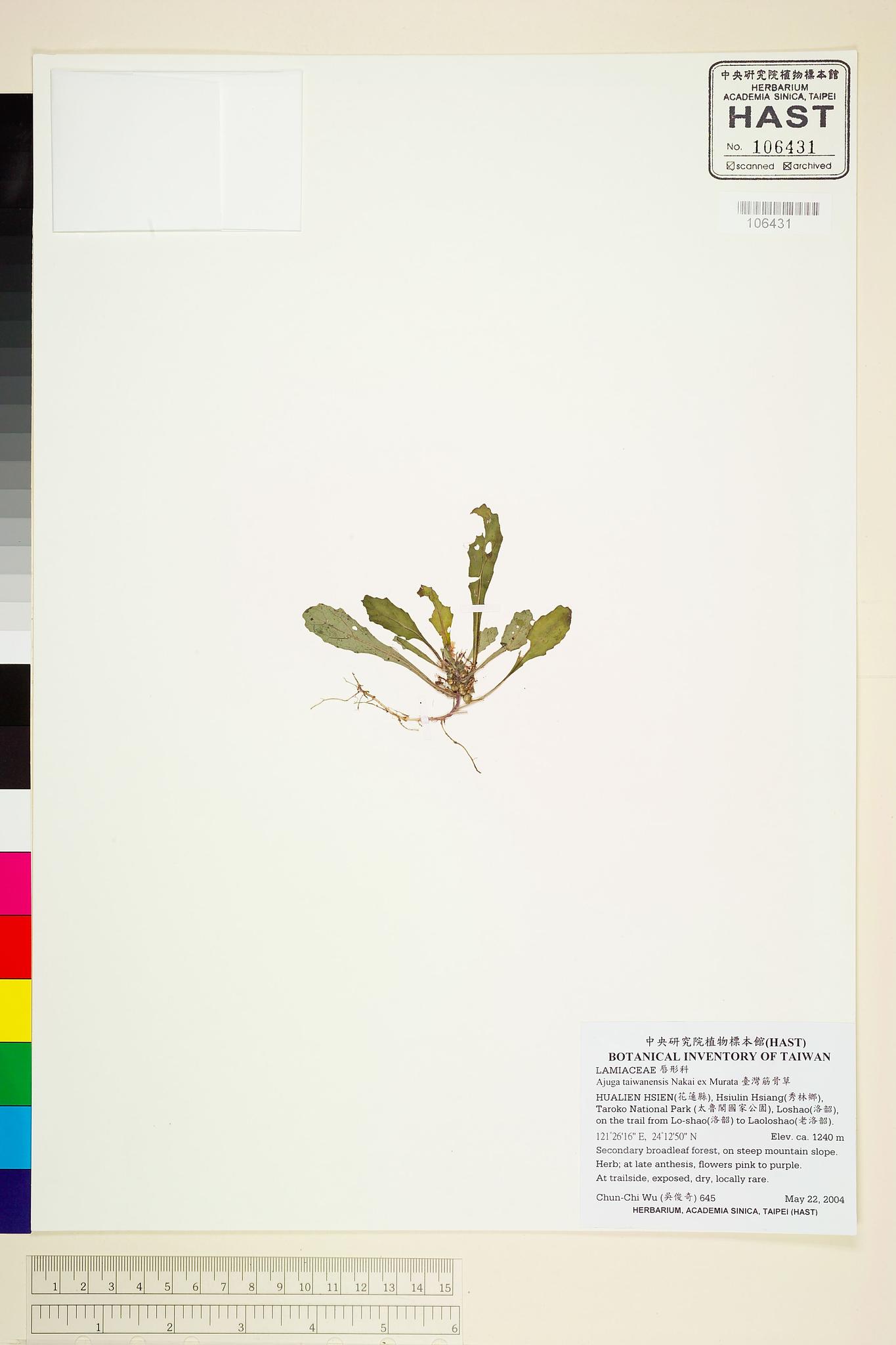 Sample image for viewer