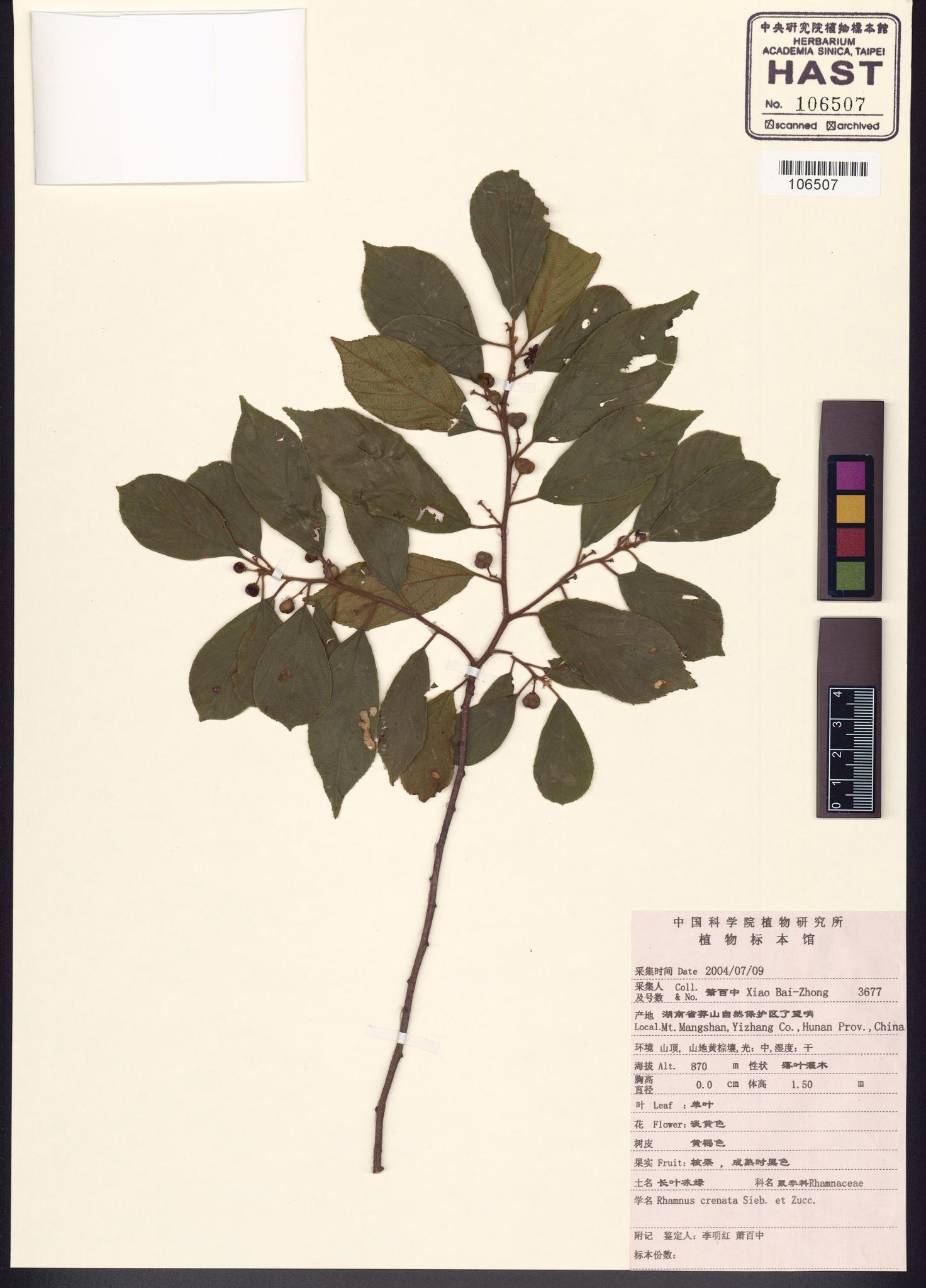 Sample image for viewer