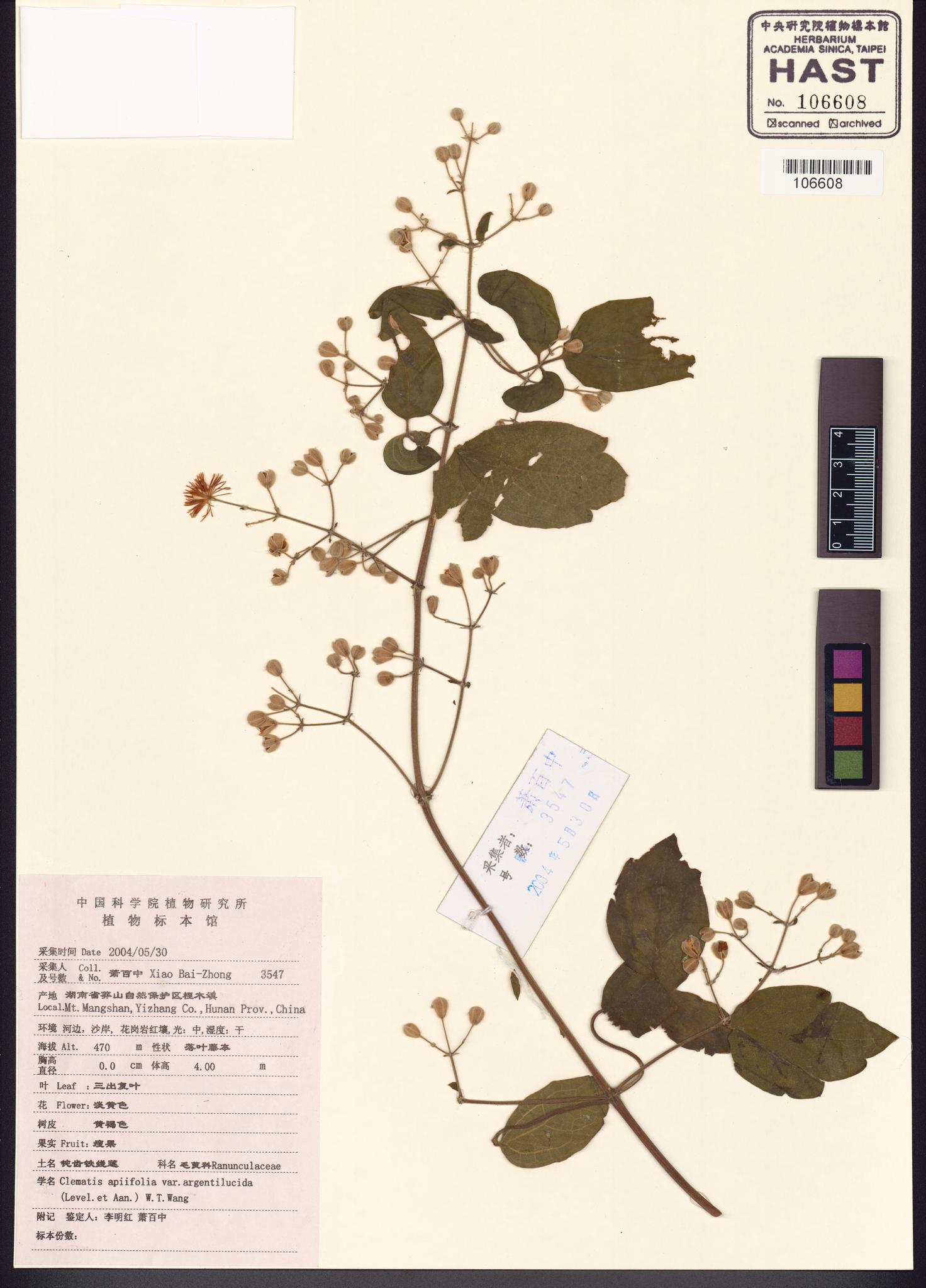 Sample image for viewer