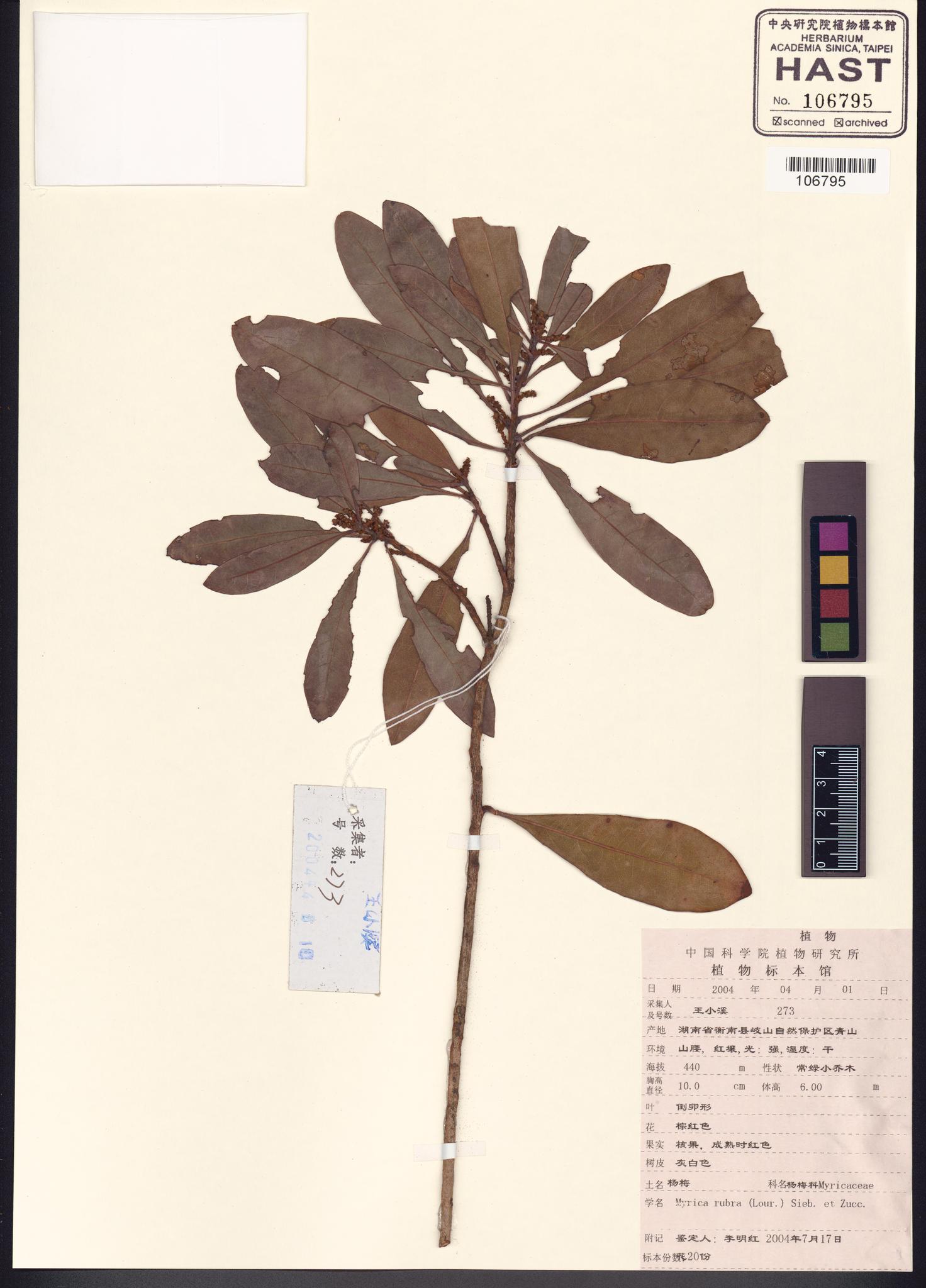 Sample image for viewer