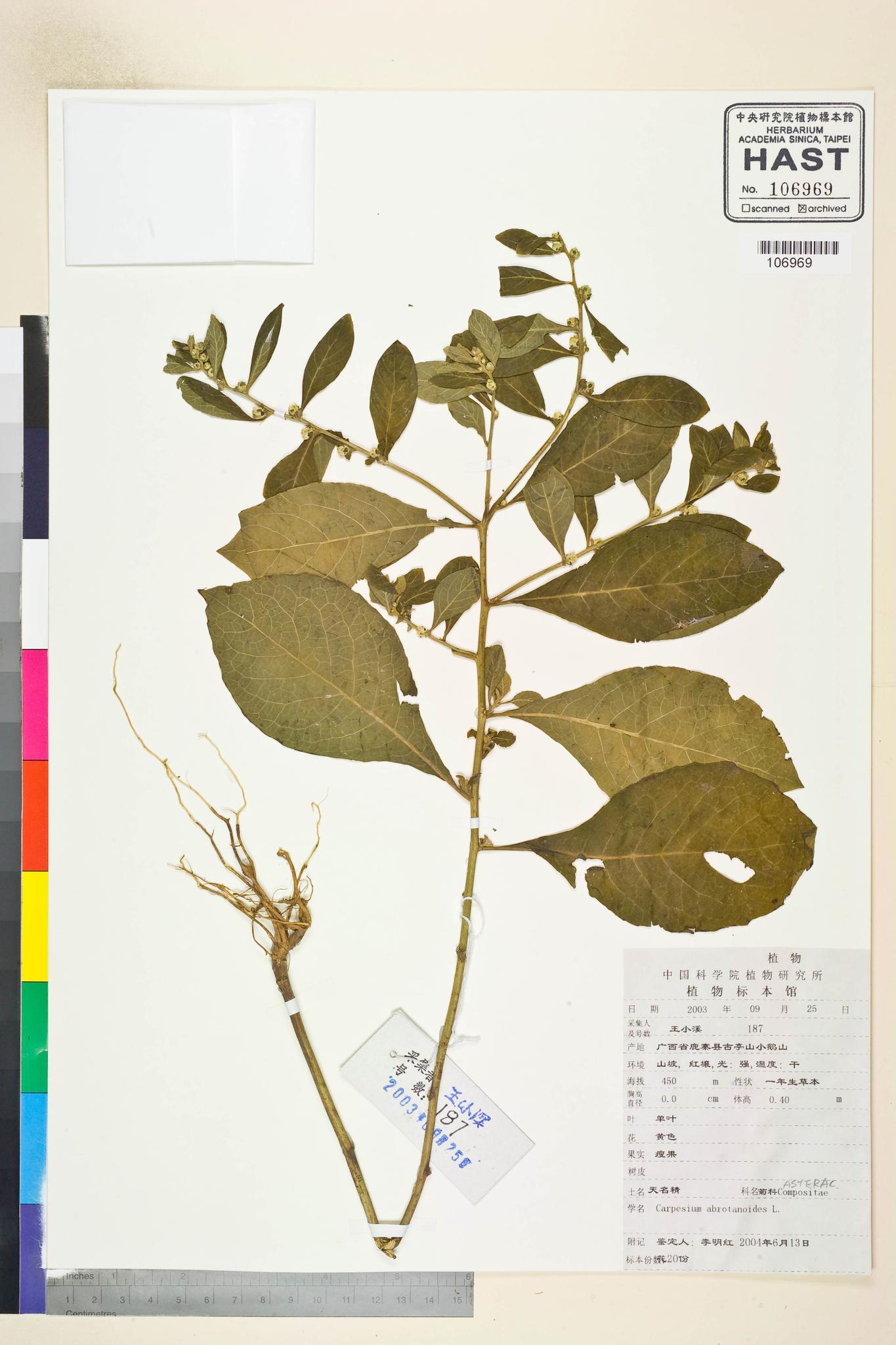 Specimen image