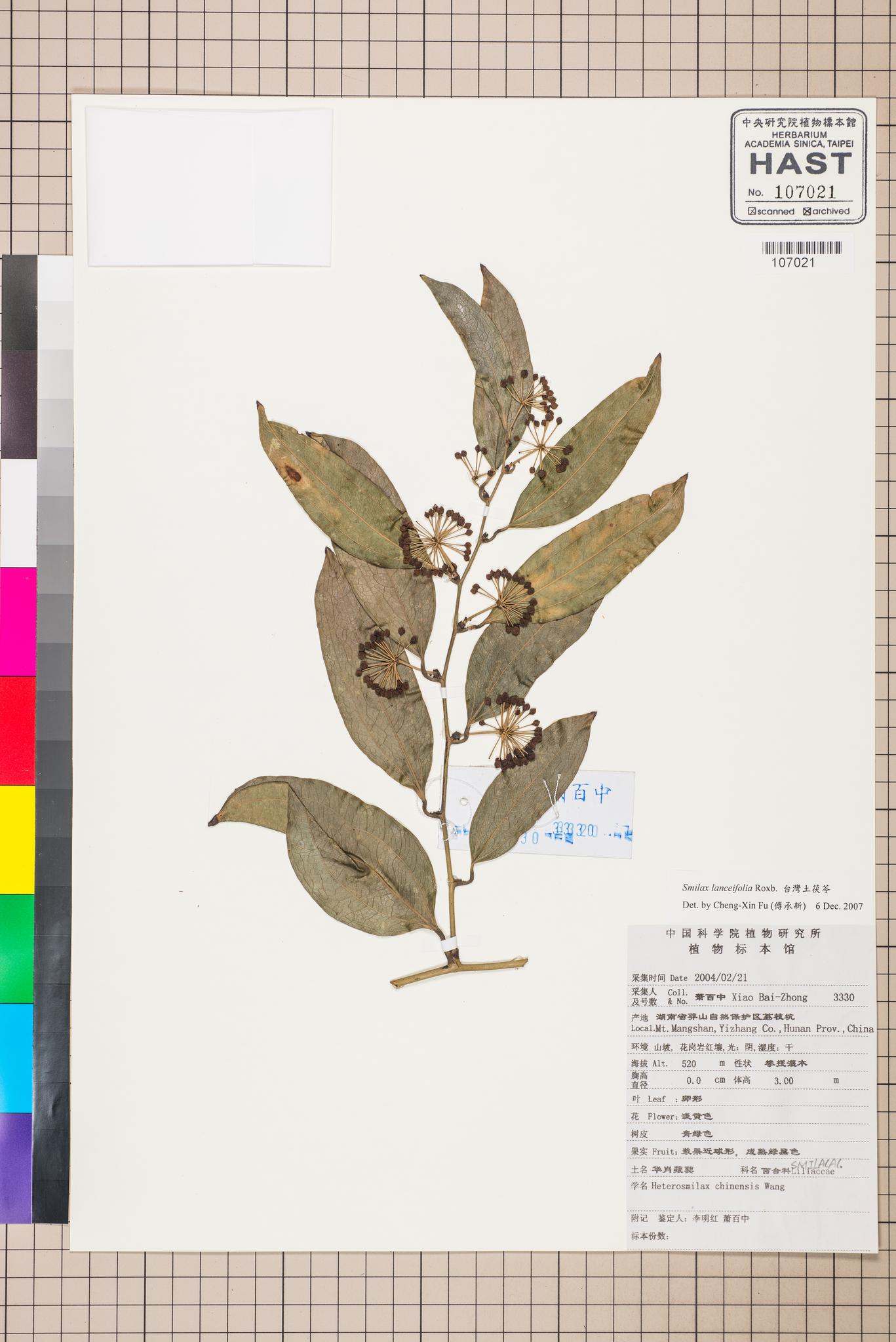 Sample image for viewer