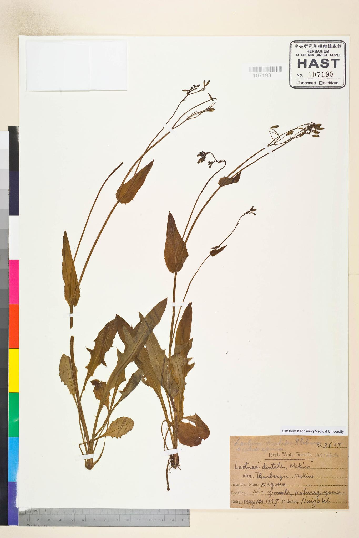 Sample image for viewer