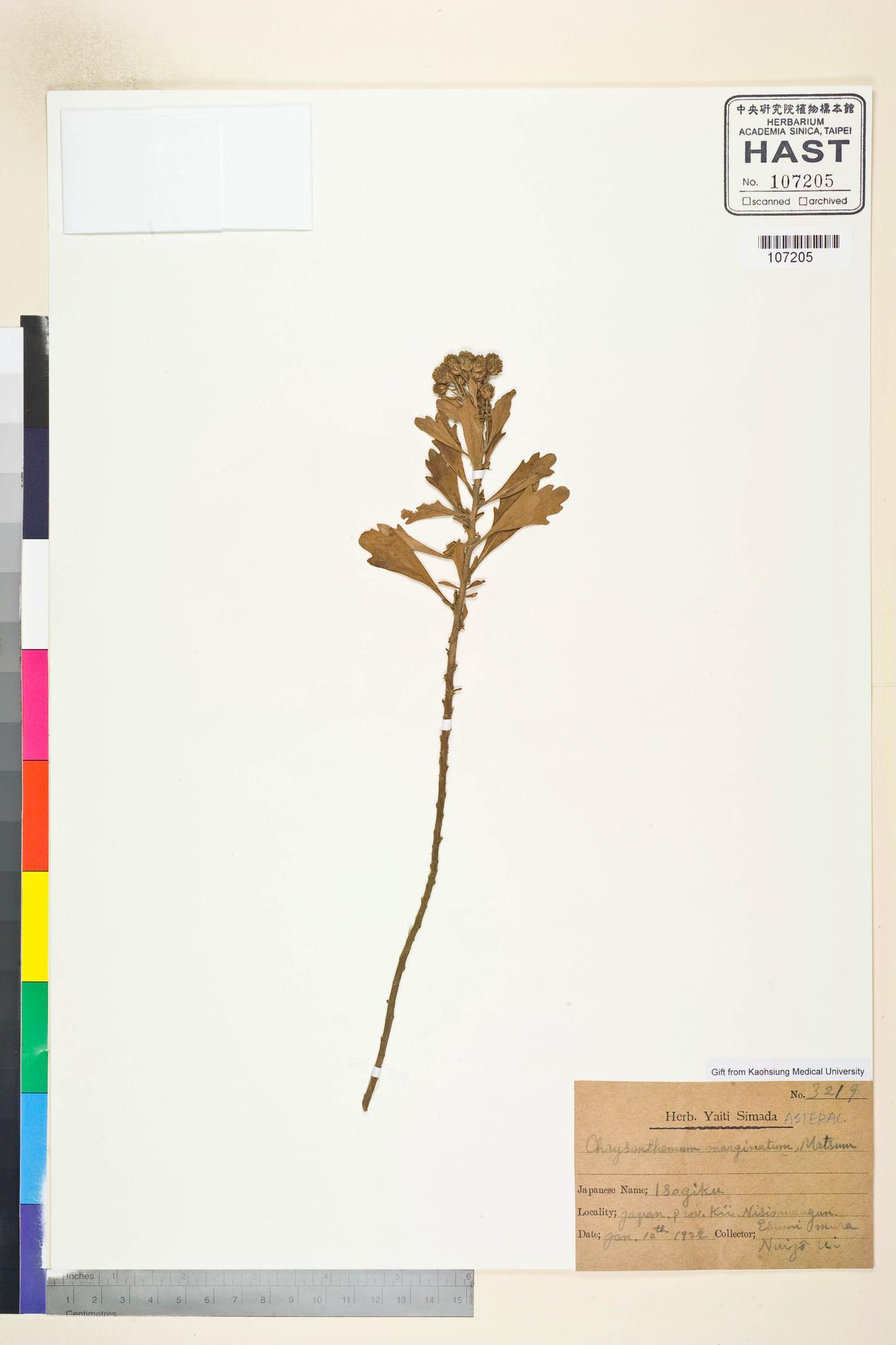 Sample image for viewer