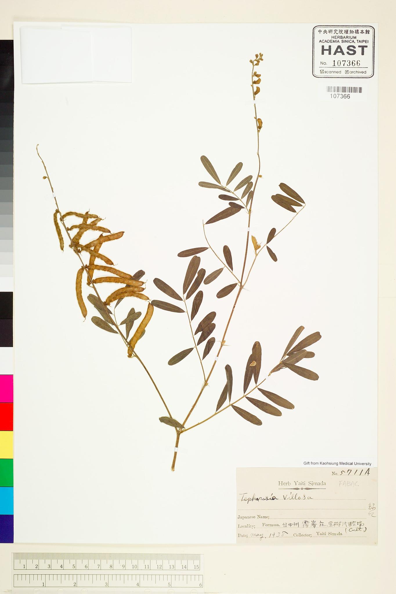 Sample image for viewer