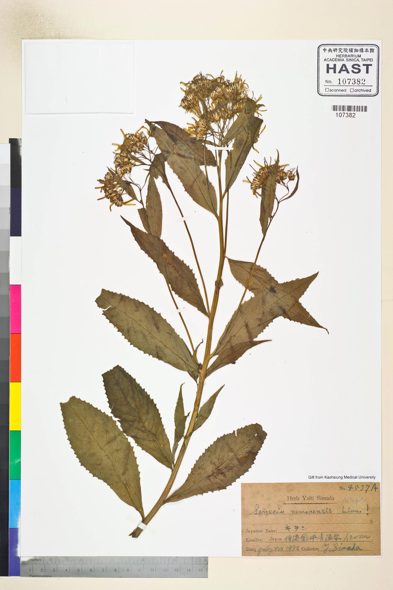 Sample image for viewer