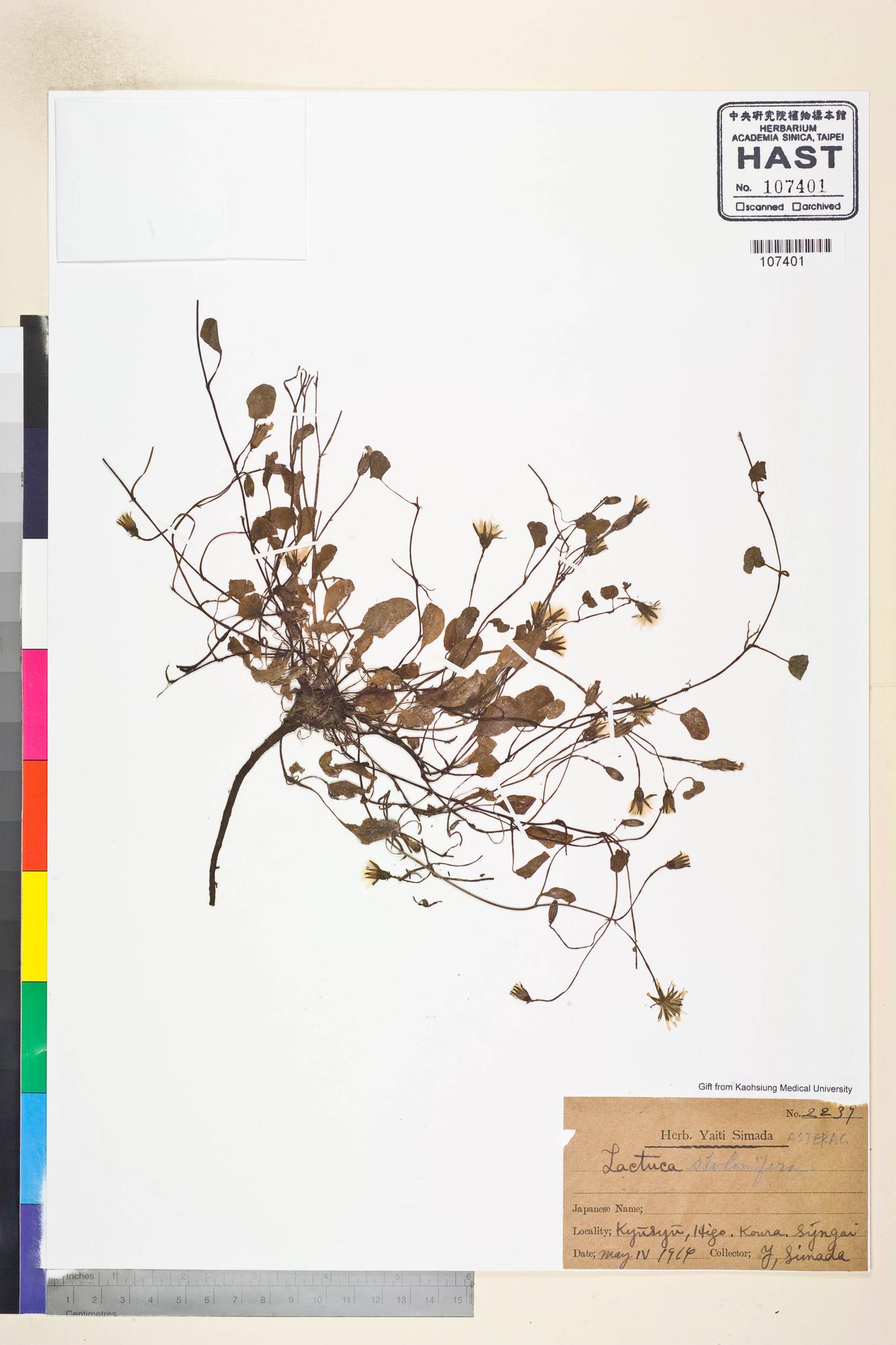 Sample image for viewer